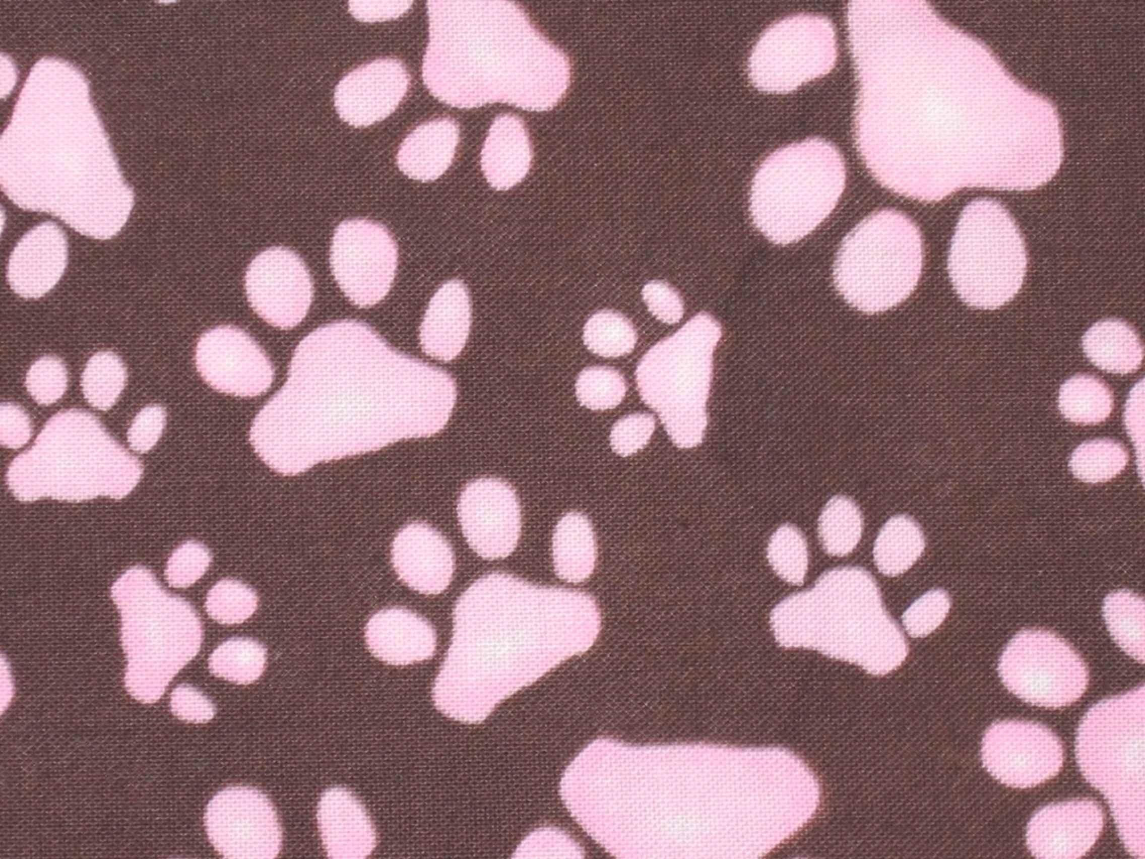 Dog Paw Wallpapers - Top Free Dog Paw Backgrounds - WallpaperAccess
