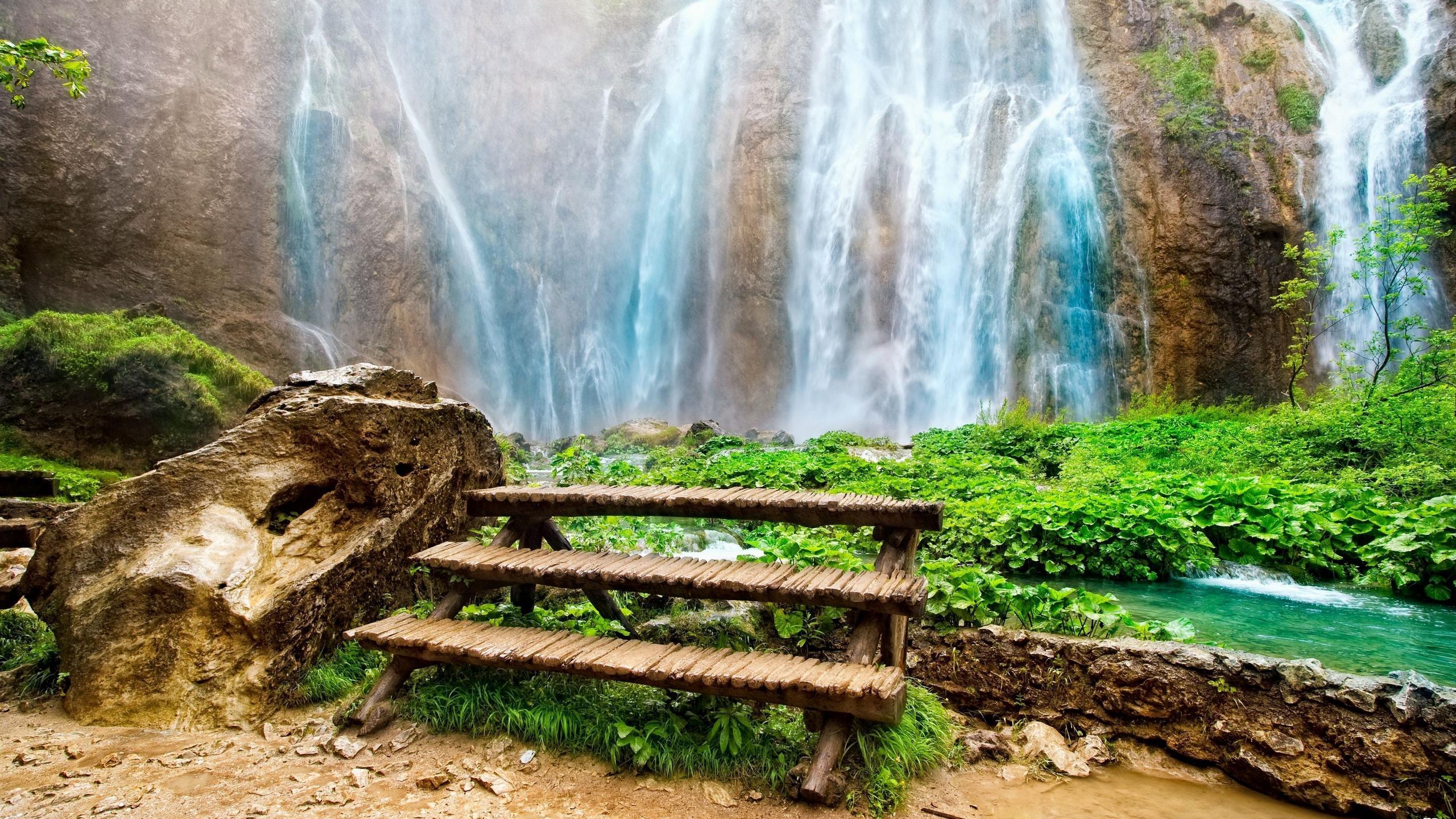 2560x1440 Download 2560x1440 Perfect For A Picnic wallpaper