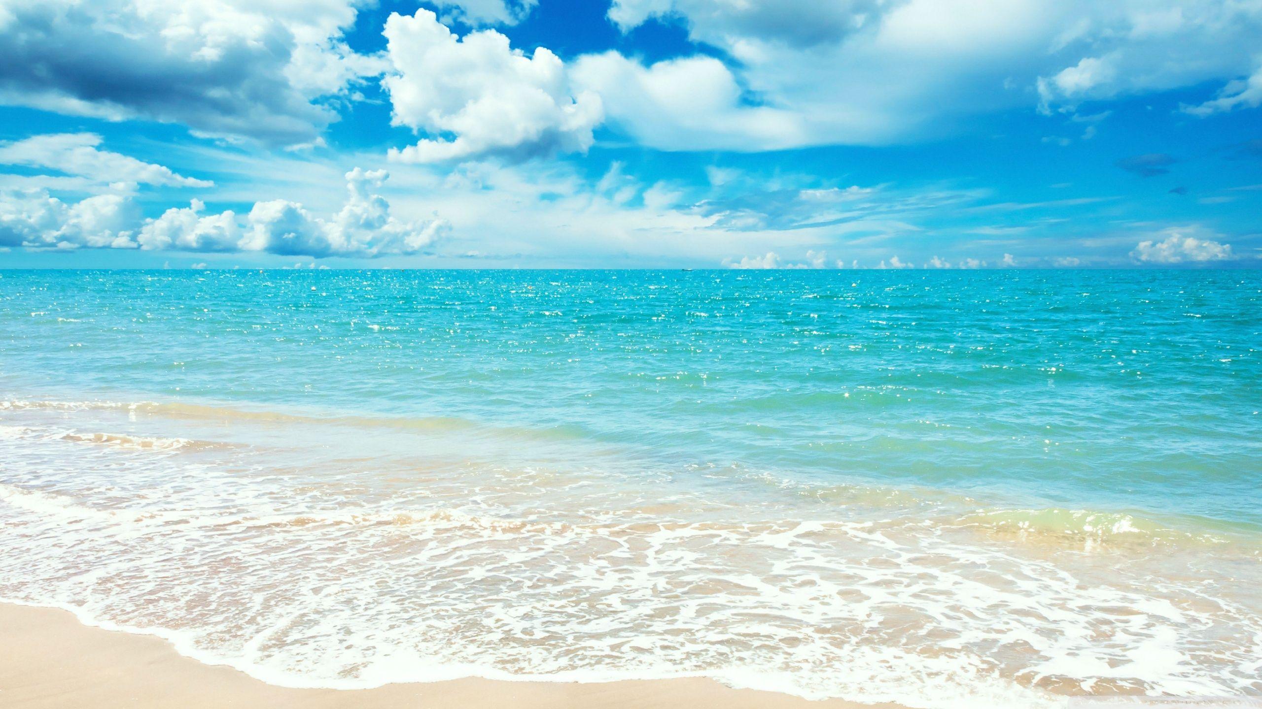 2560x1440 Beach Ultra HD Desktop Background Wallpaper for : Multi Display