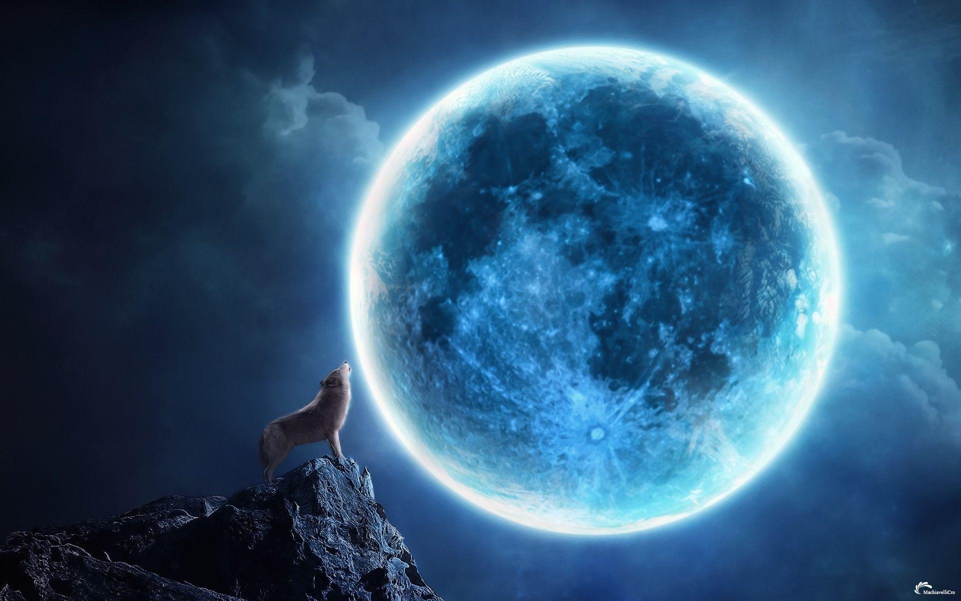 1920x1200 night moon blue moon wolves High Quality Wallpaper, High