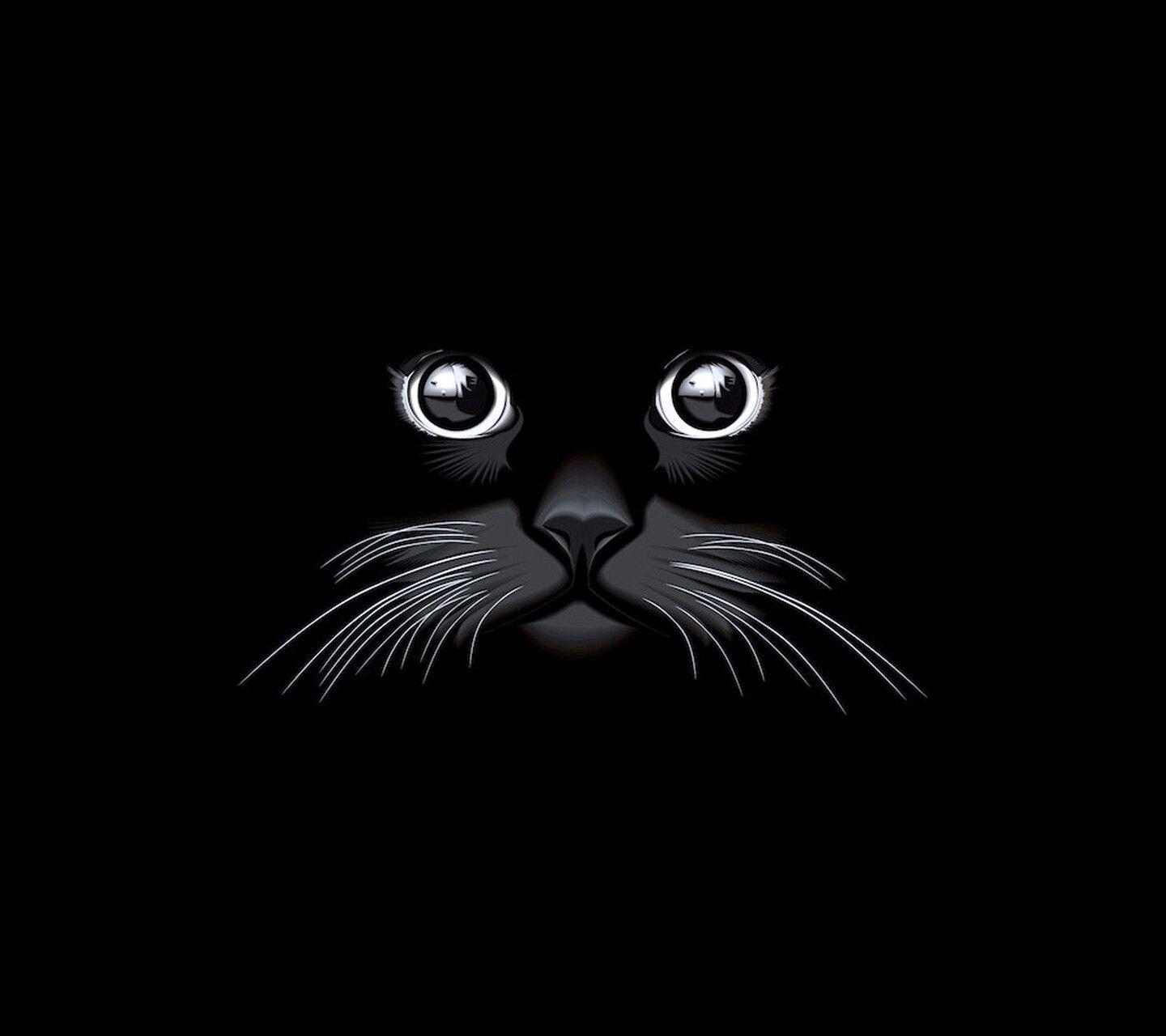 Black Cat Cartoon Wallpapers - Top Free Black Cat Cartoon Backgrounds -  WallpaperAccess