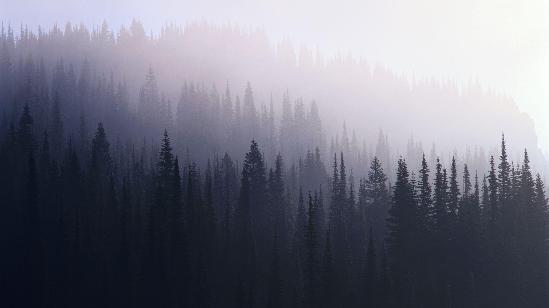 1920x1080 HD Hipster Wallpaper