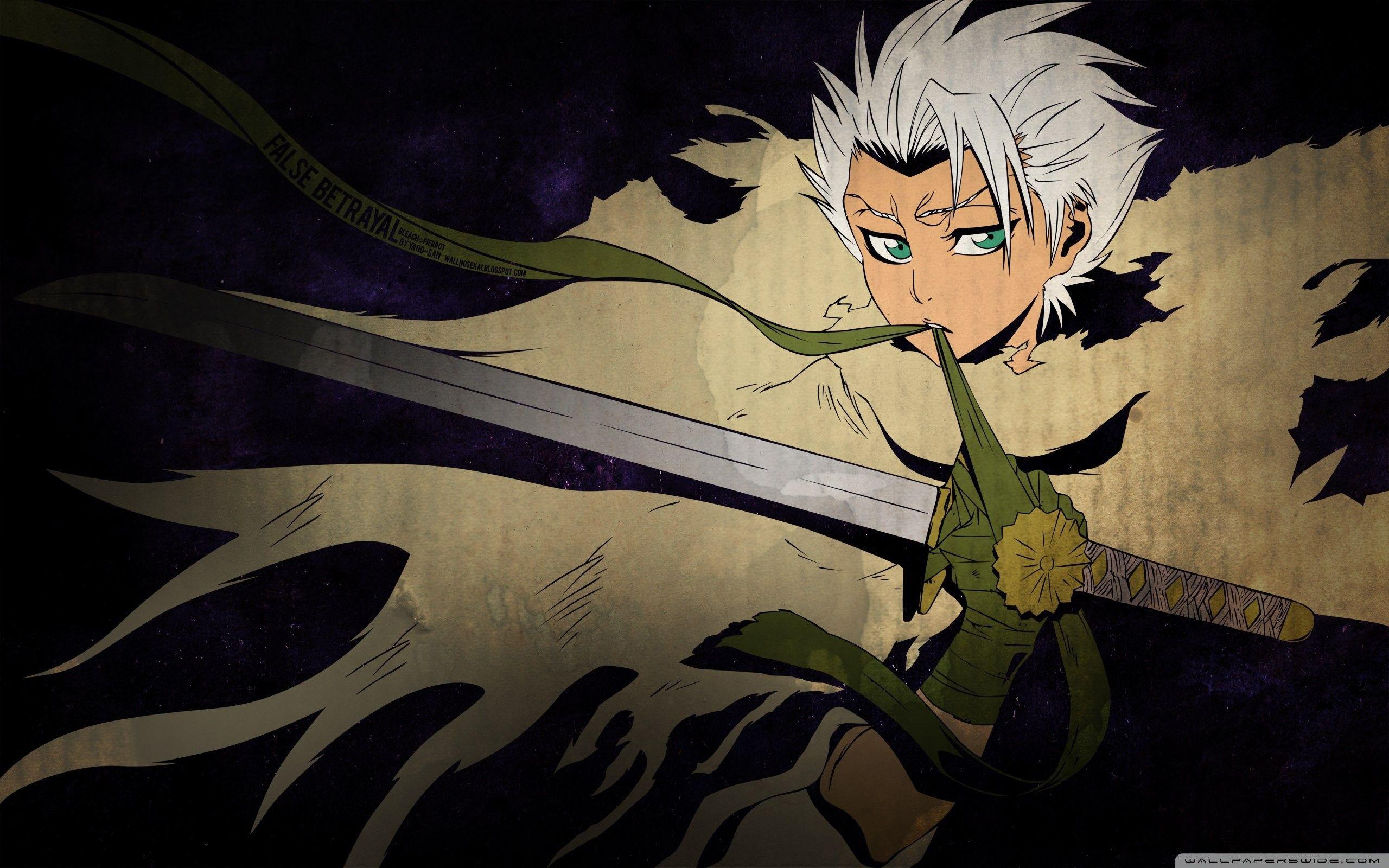 2560x1600 Toshiro Hitsugaya Wallpaper