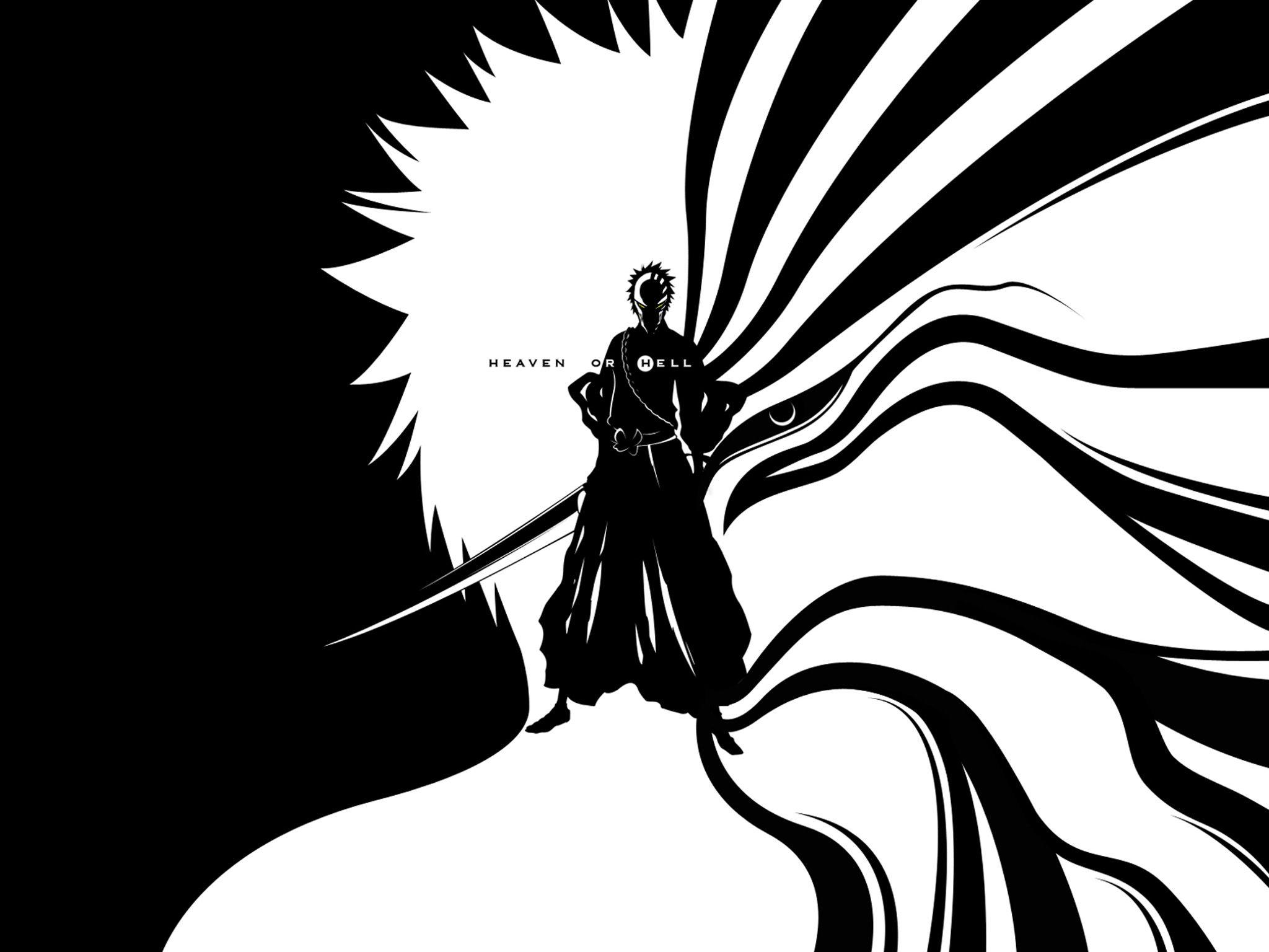 2048x1536 black and white, Bleach, Kurosaki Ichigo, Hell, Heaven, hollow