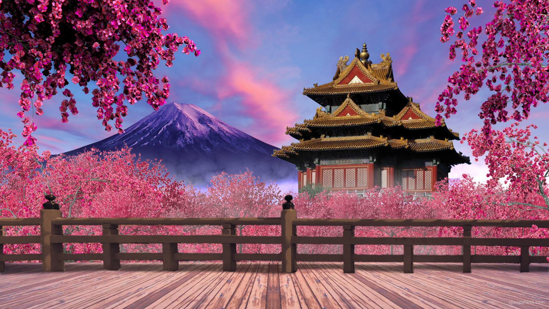 Japanese Pink Wallpapers - Top Free Japanese Pink Backgrounds