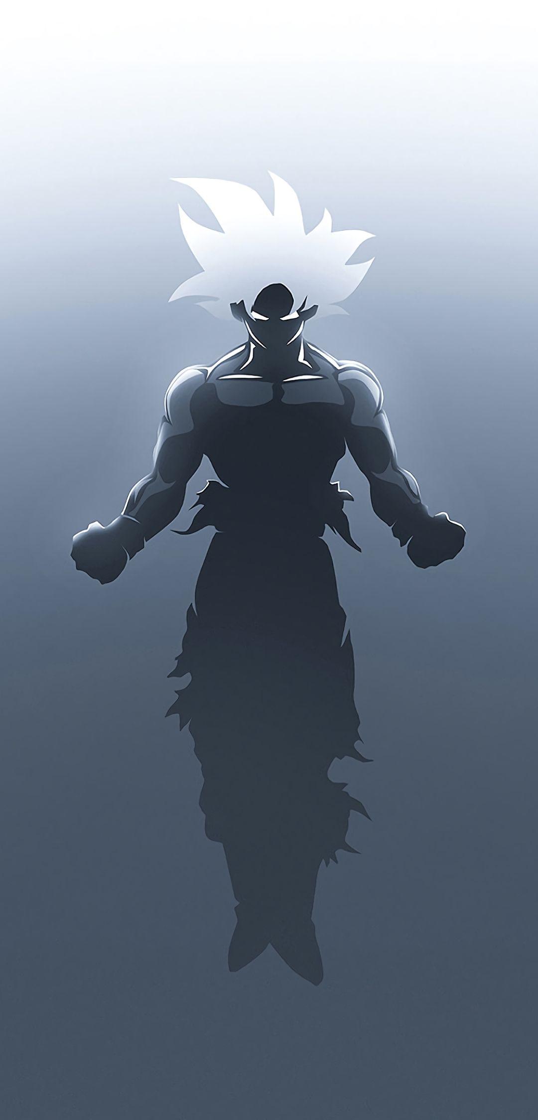 1080x2248 Anime Dragon Ball Super (1080x2248) Wallpaper