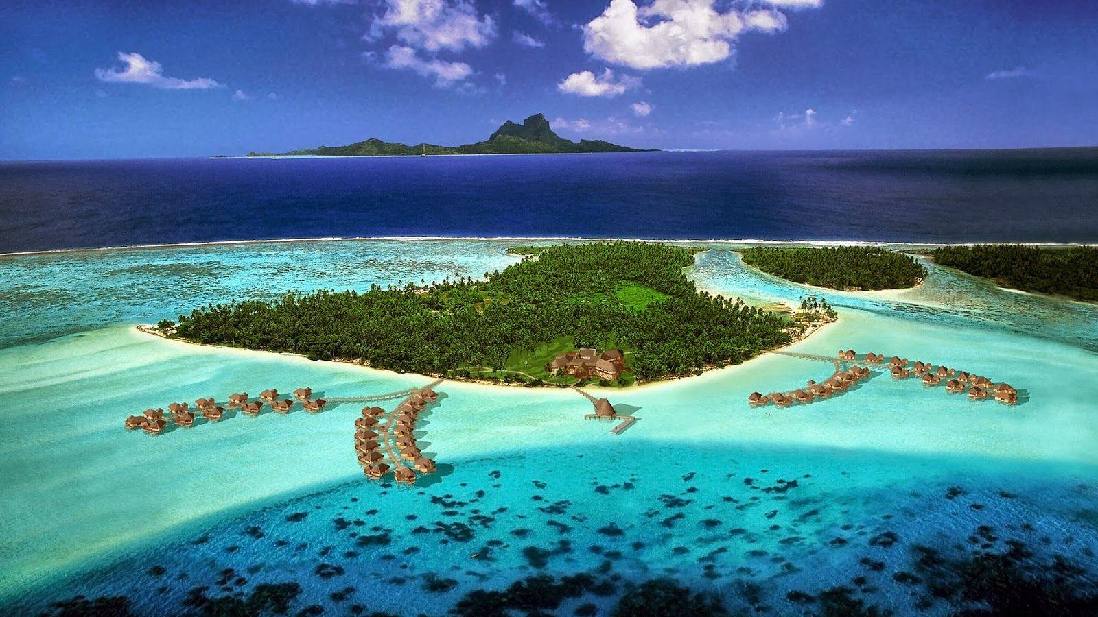 1600x900 Exotic Wallpaper