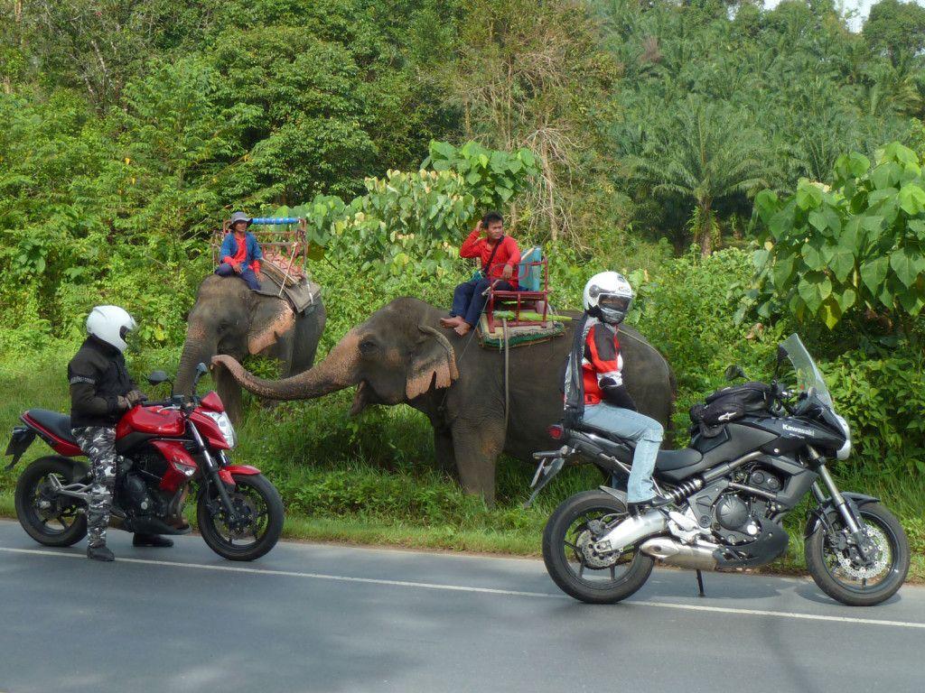 1024x768 Exploration Thailand : Frequently Asked Info
