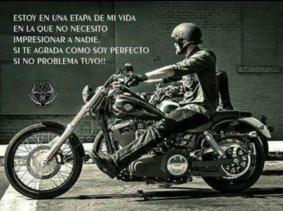 1080x806 harleydavidsontrikeforsale. Harley Davidson Trike
