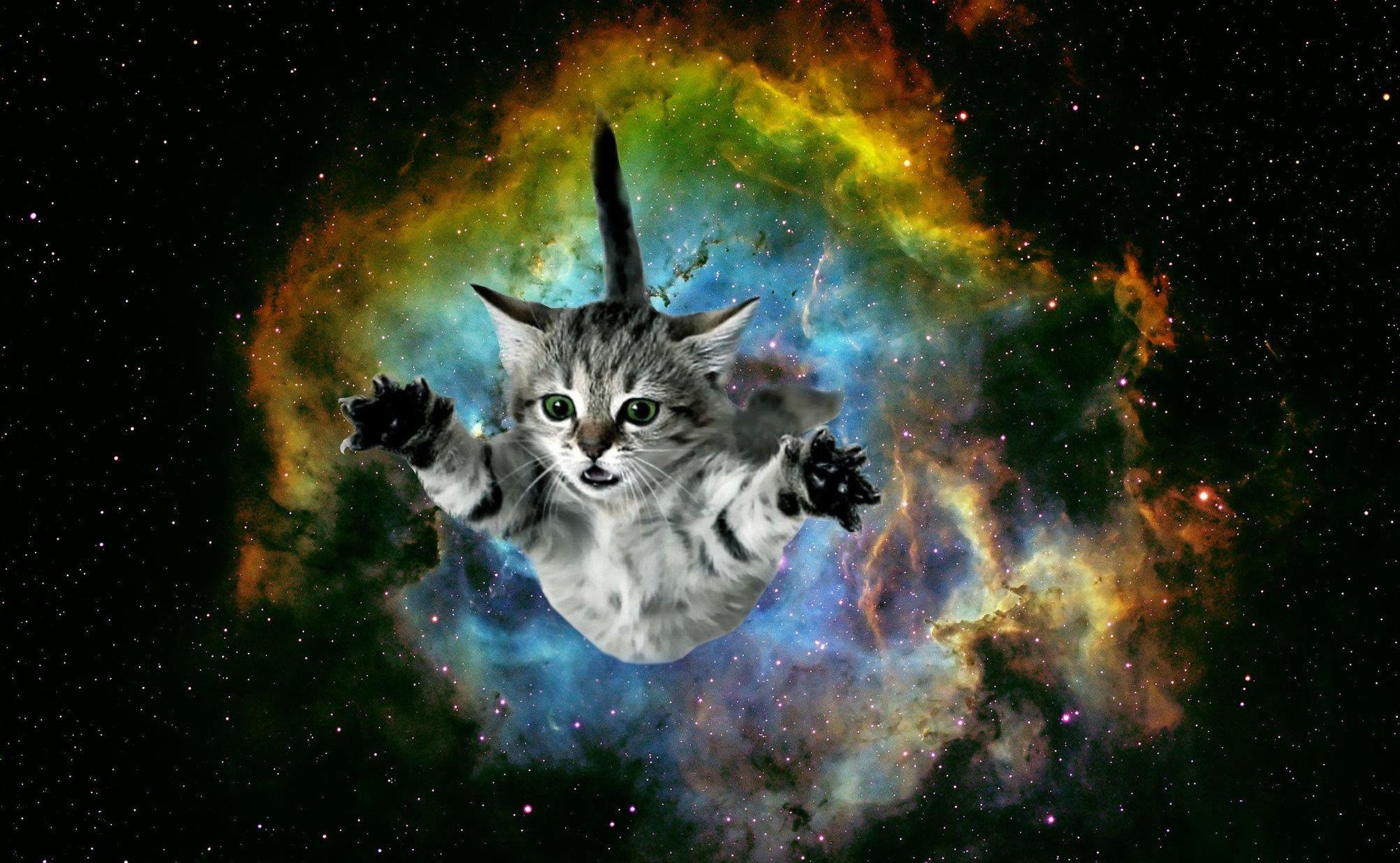 Galaxy Cat Live Wallpaper  free download