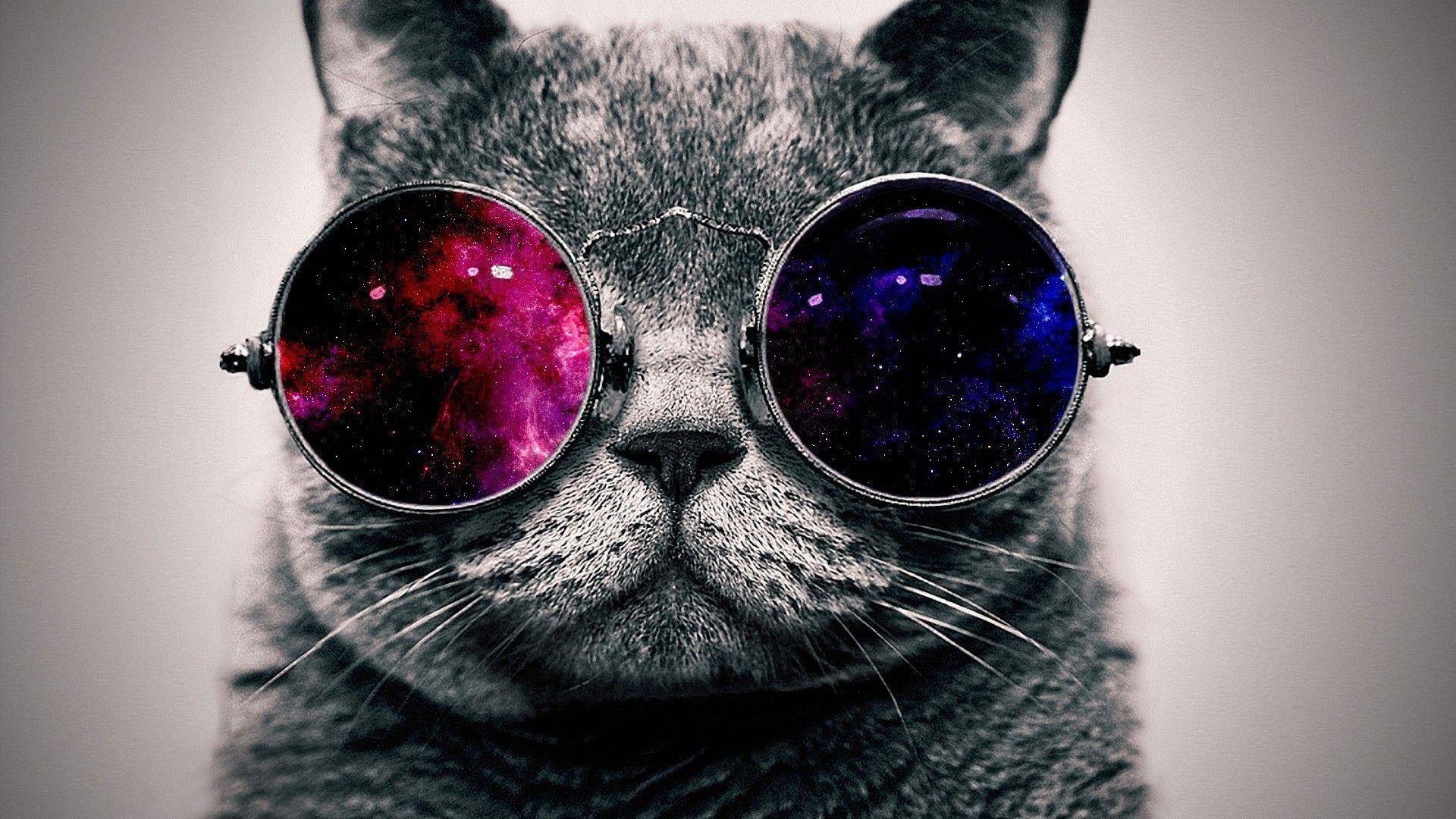 1920x1080 Galaxy Cat Wallpaper
