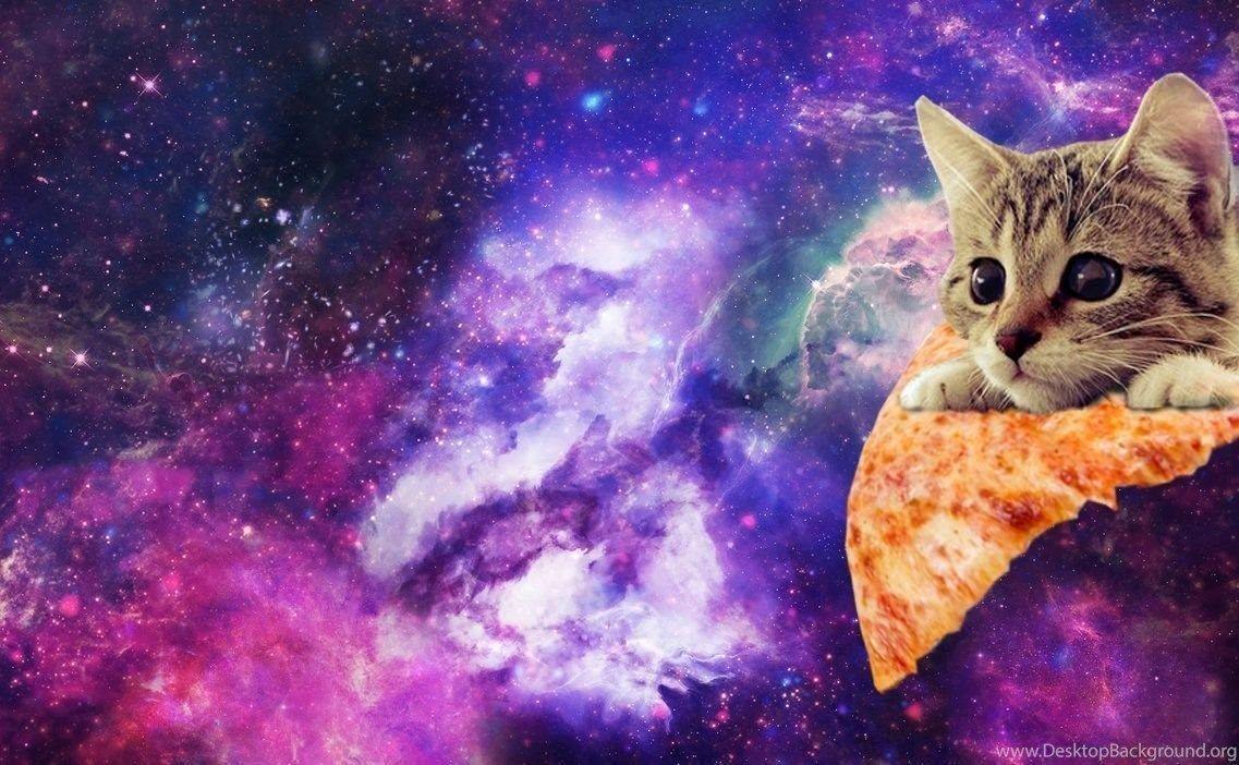 1137x702 Awesome Galaxy Cat Wallpaper Of the Day