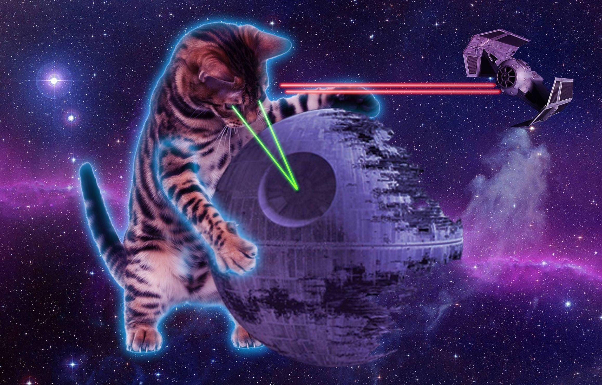 2316x1480 Space Cat Wallpaper