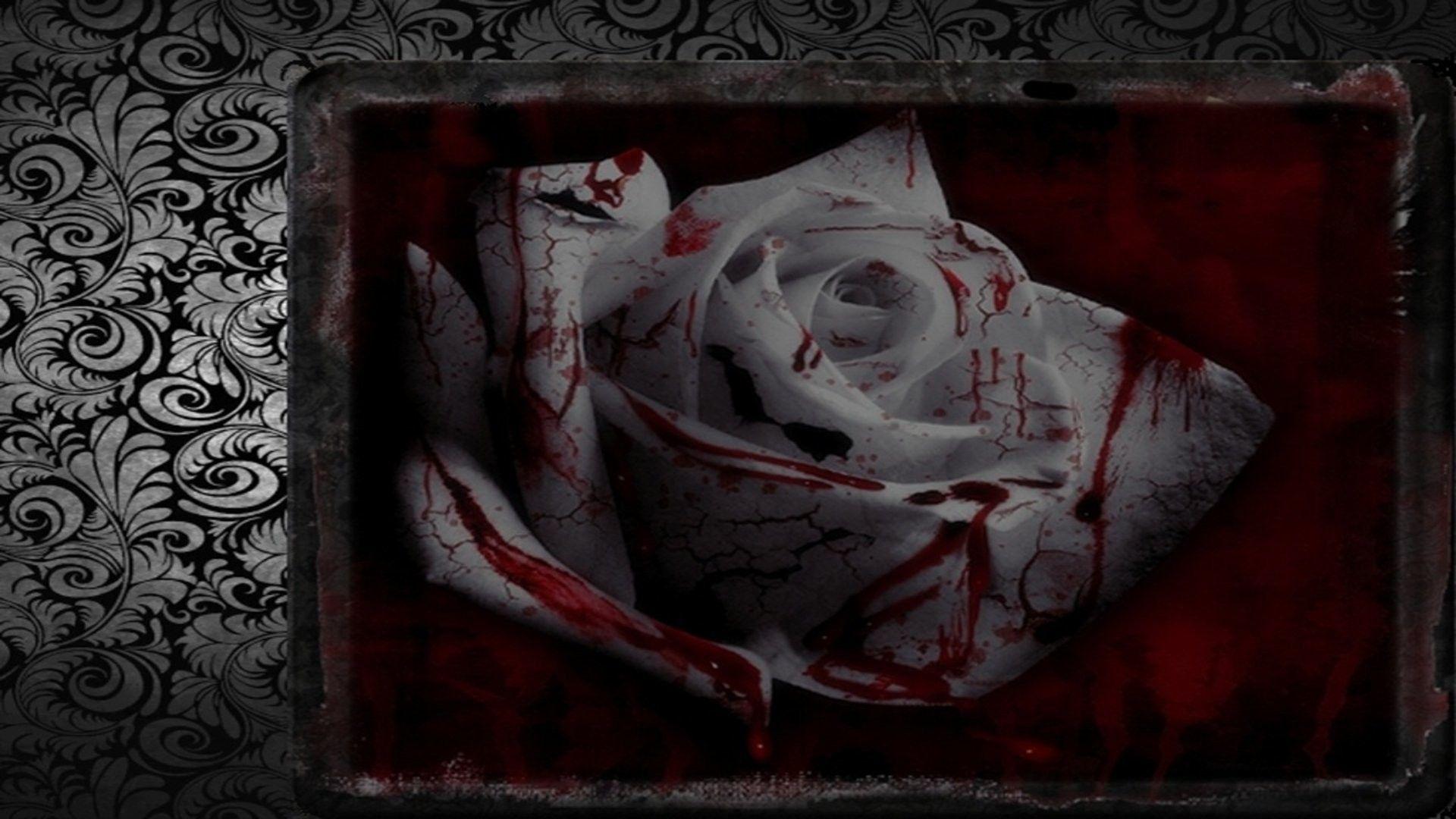 1920x1080 Bloody Rose wallpaper wallpaper Collections