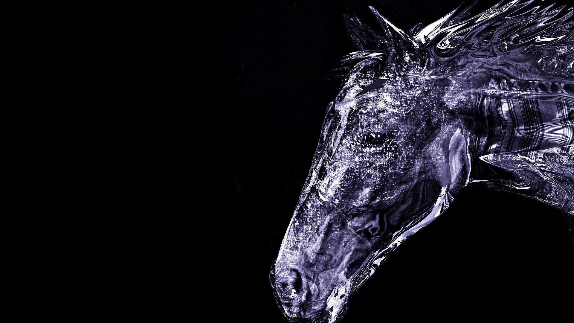 1920x1080 Cool Horse Computer Wallpaper, 315.61 Kb