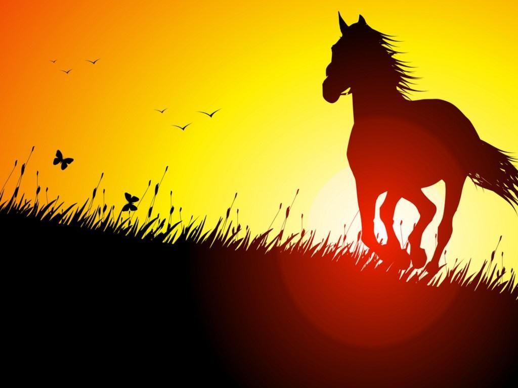 1024x768 Cool Horse Wallpaper 1024x768
