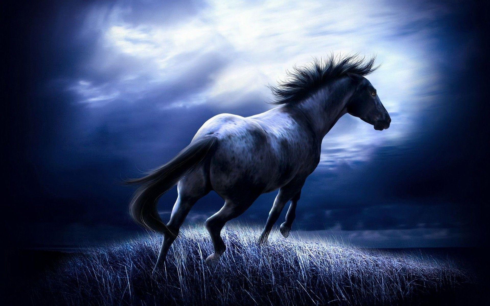 Cool Horses Wallpapers Top Free Cool Horses Backgrounds WallpaperAccess