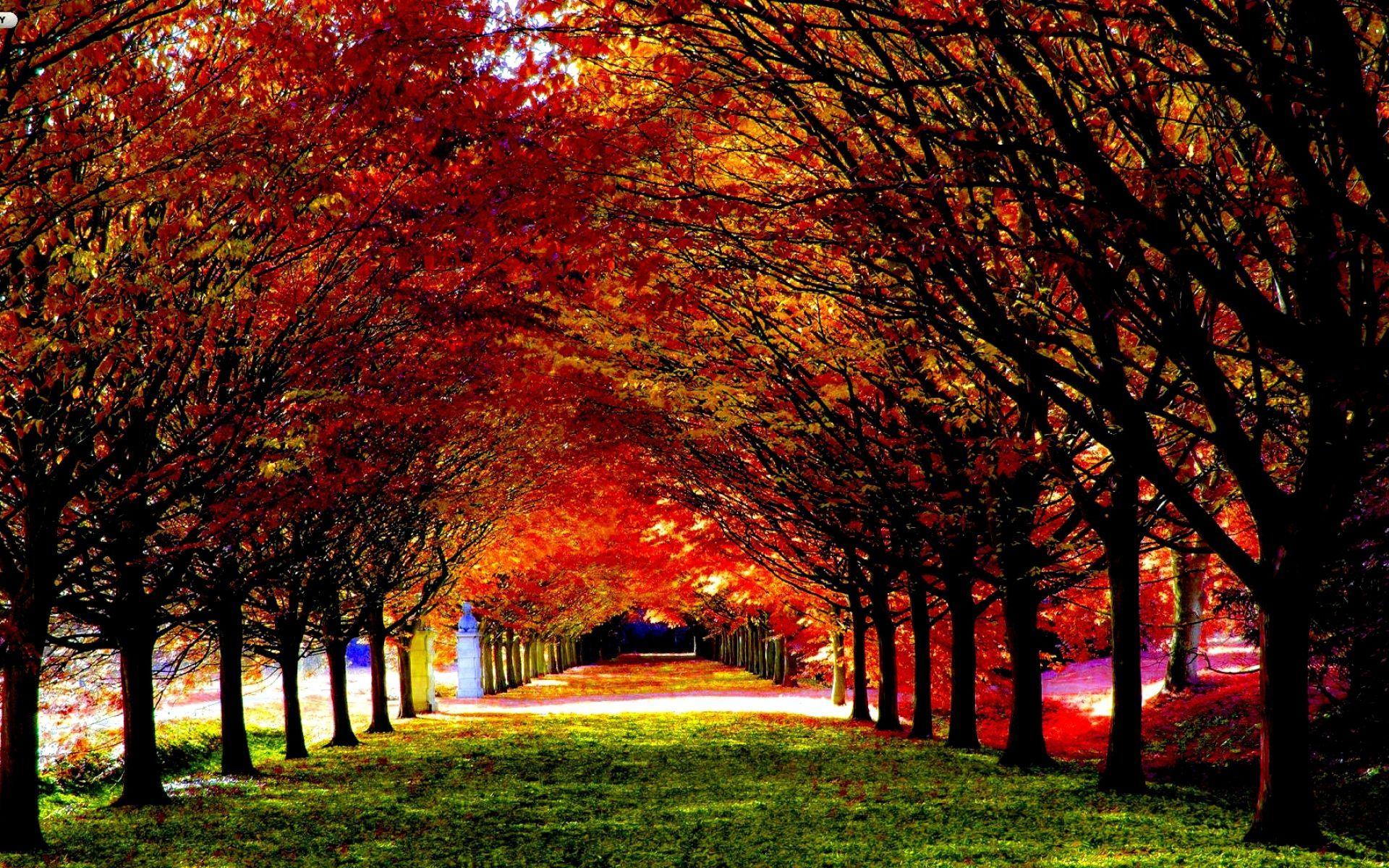 Beautiful Autumn Desktop Wallpapers - bigbeamng