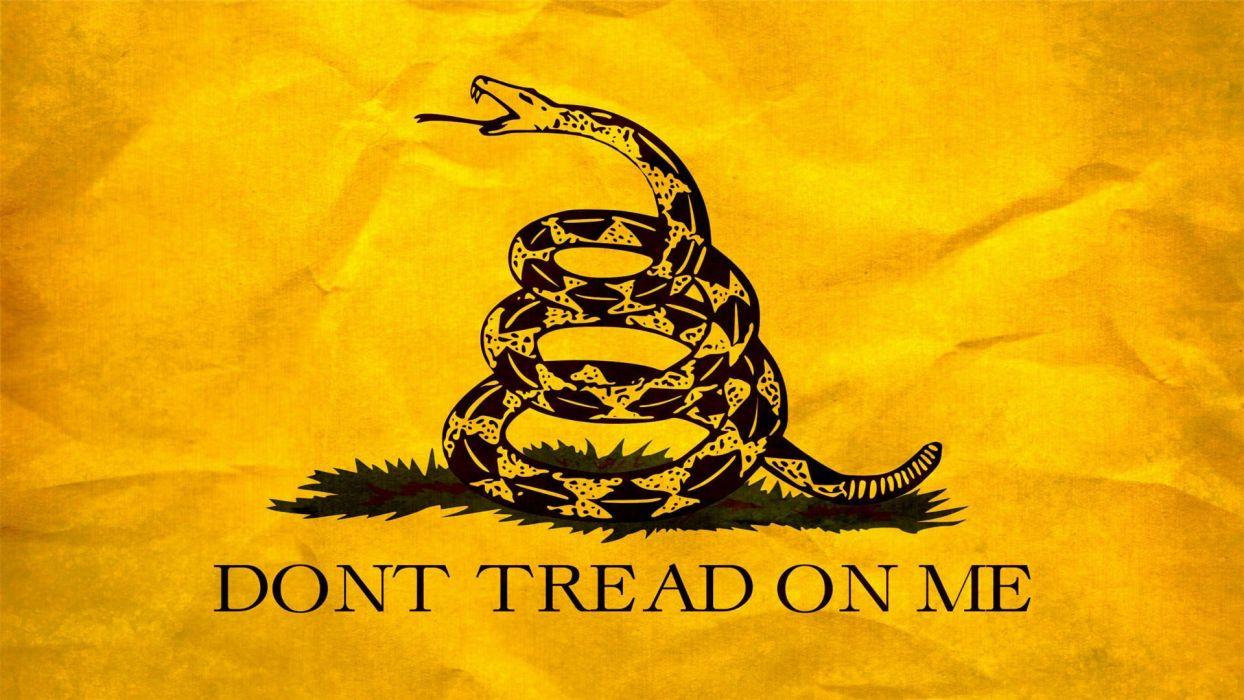 1244x700 GUN CONTROL weapon politics anarchy protest political weapons guns