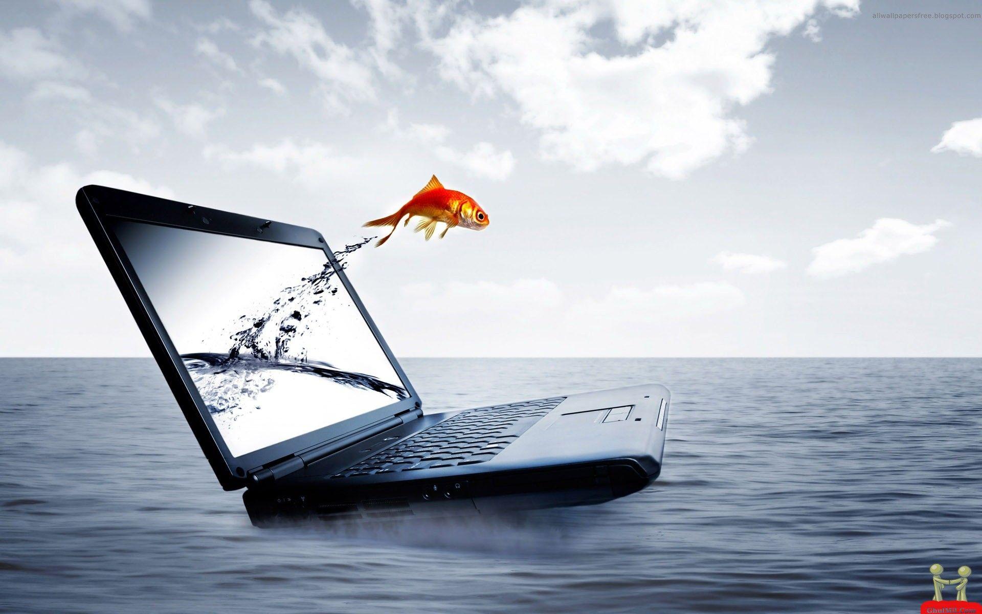 1920x1200 Wallpaper For Dell Laptop