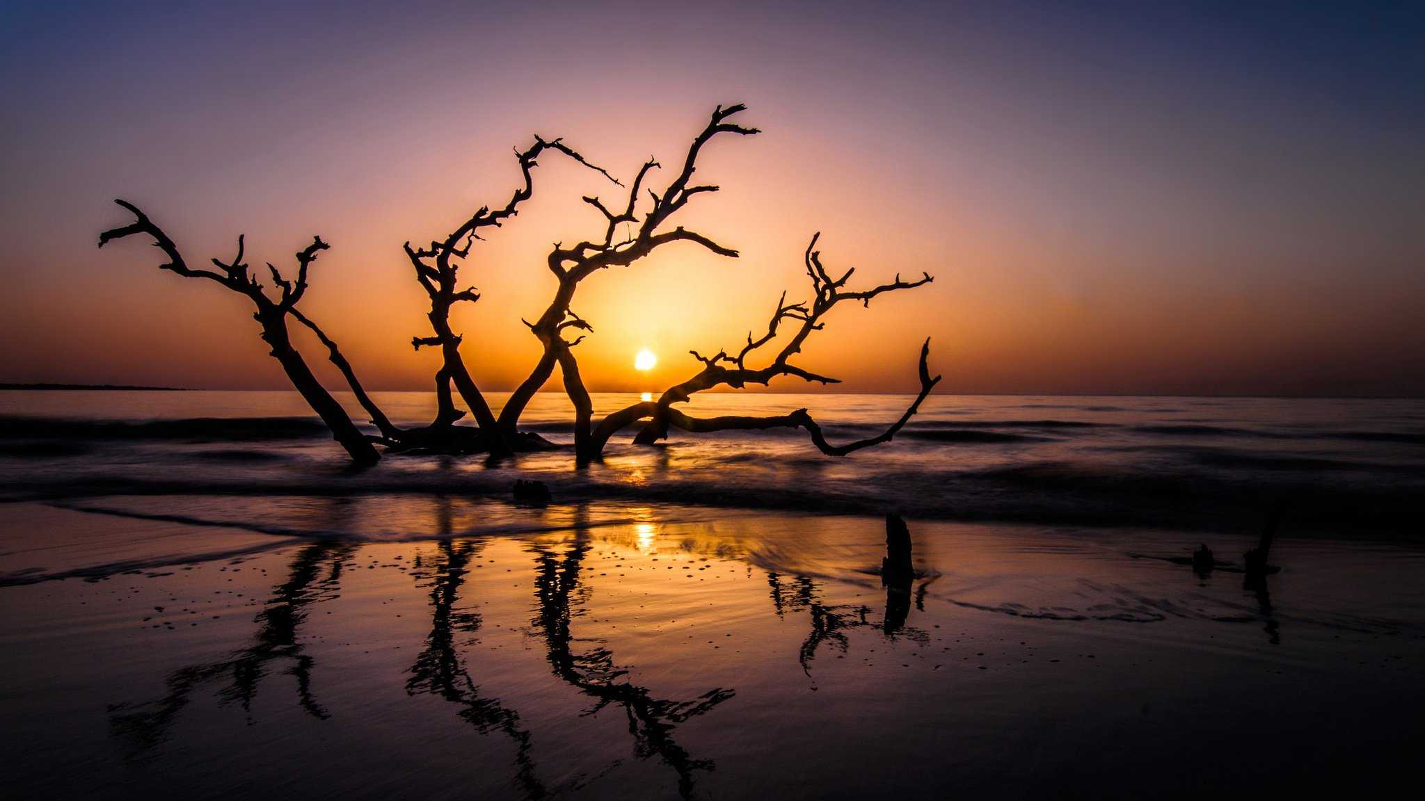 2048x1152 Driftwood Beach HD Wallpaper (2048x1152)