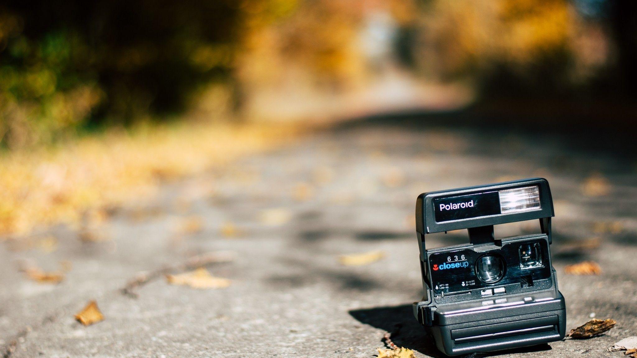 2048x1152 Download 2048x1152 Polaroid Camera, Blurry, Photography, Leaves