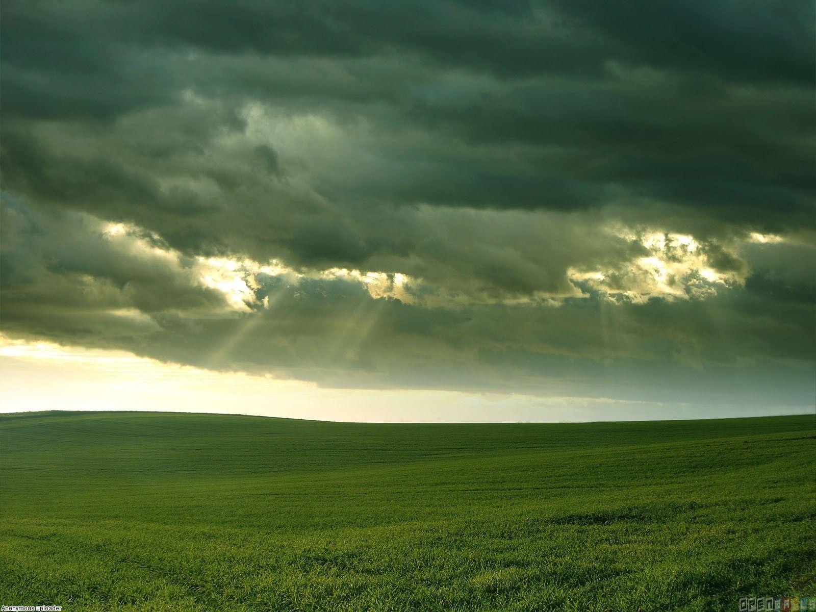 1600x1200 Awesome Open Field Photo in 4K Ultra HD
