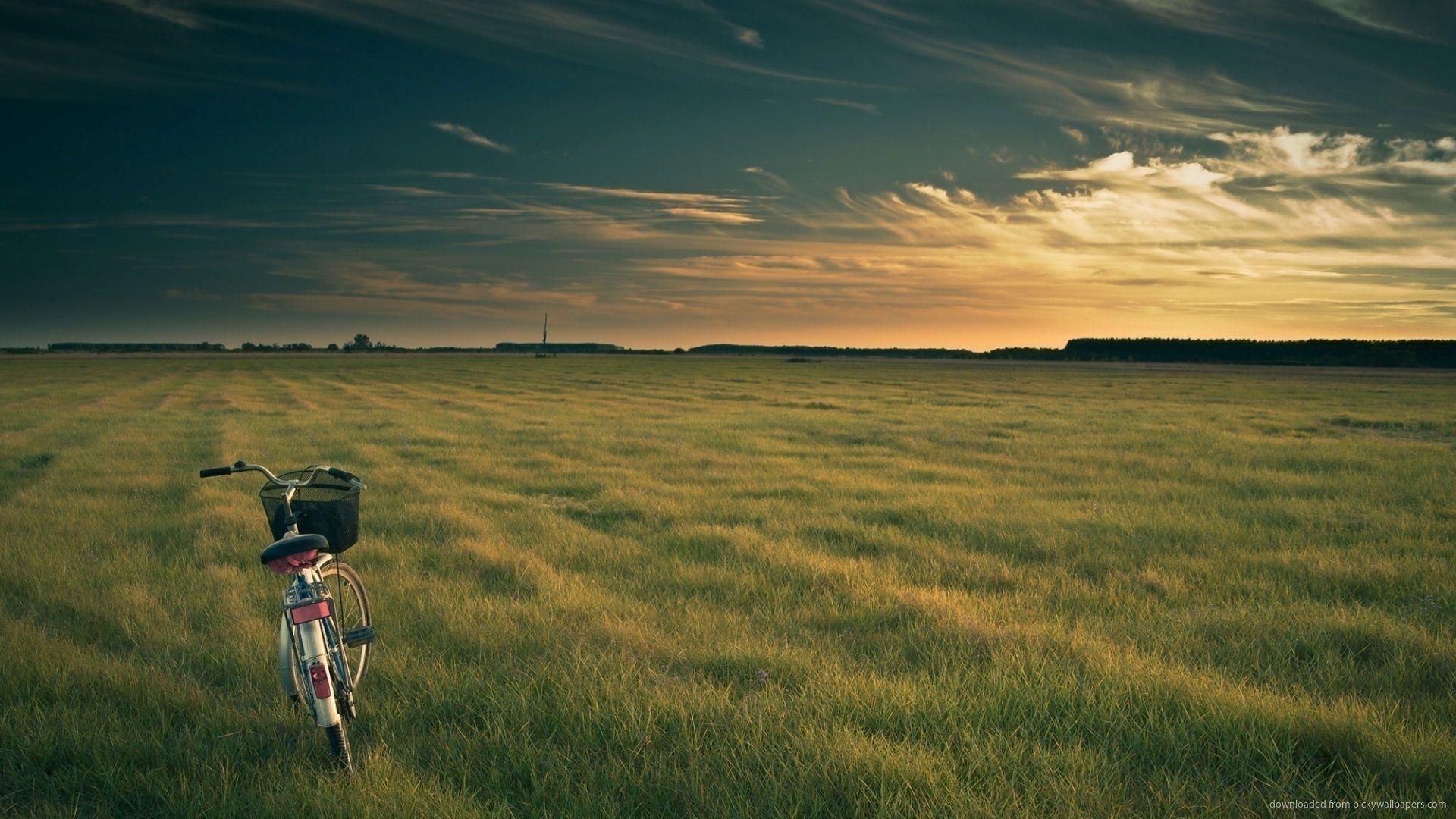 1920x1080 Open Field Wallpaper