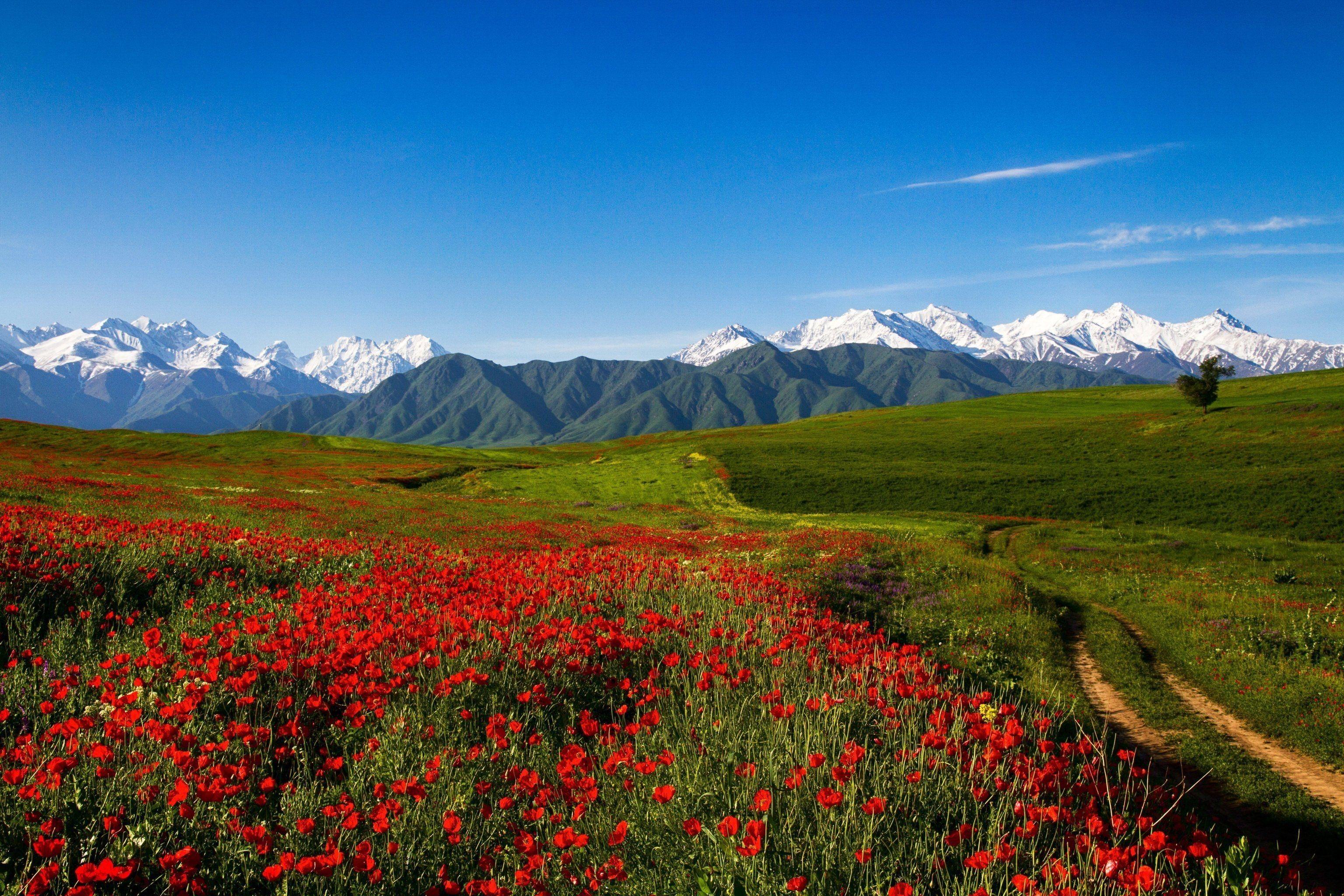 3072x2048 Open Field Wallpaper. Scenery, Field