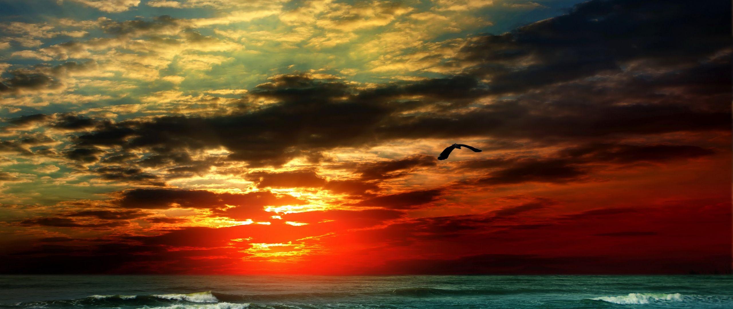 2560x1080 Download Sea, 5k, 4k wallpaper, 8k, ocean, sunset, shore, clouds