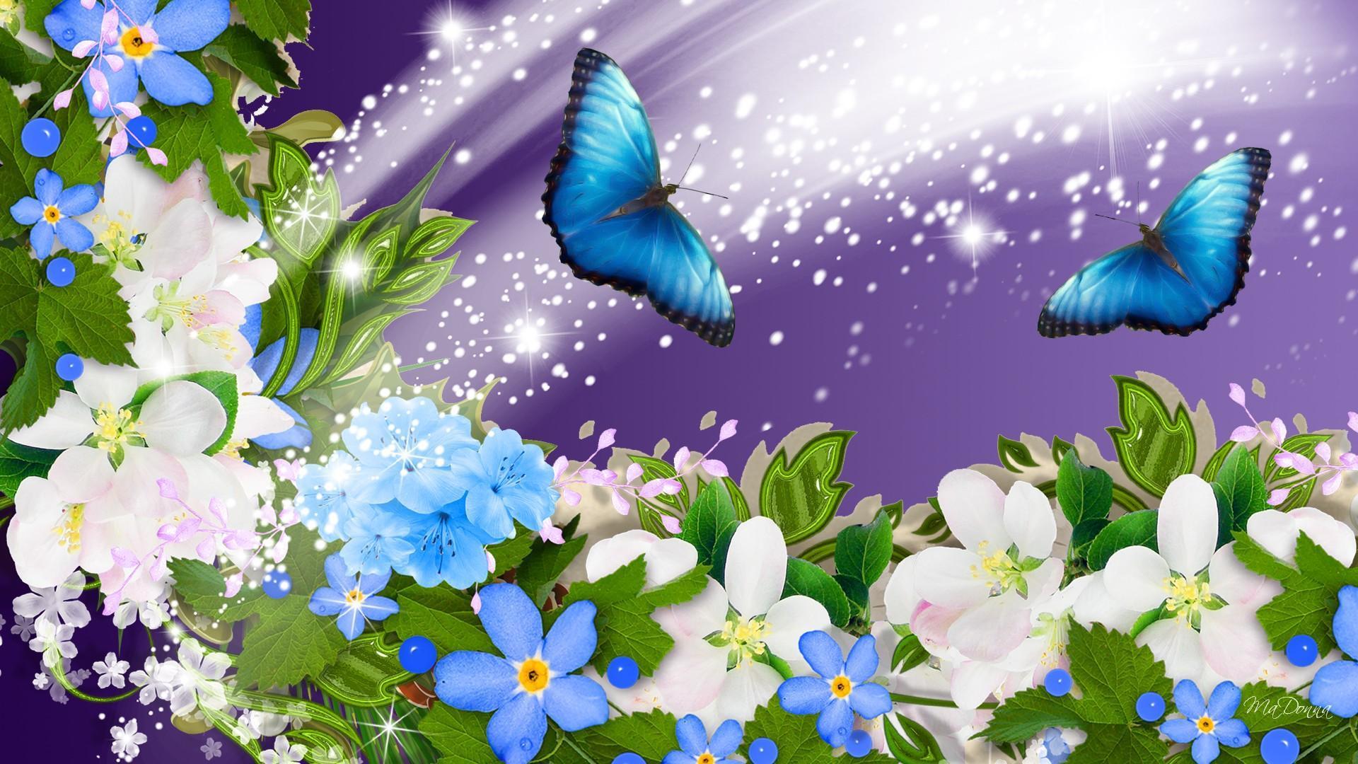 1920x1080 Summer Flower Collage HD desktop wallpaper : Widescreen : High