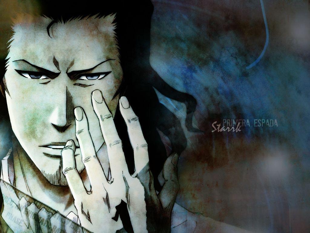 1024x768 Coyote Starrk Wallpaper