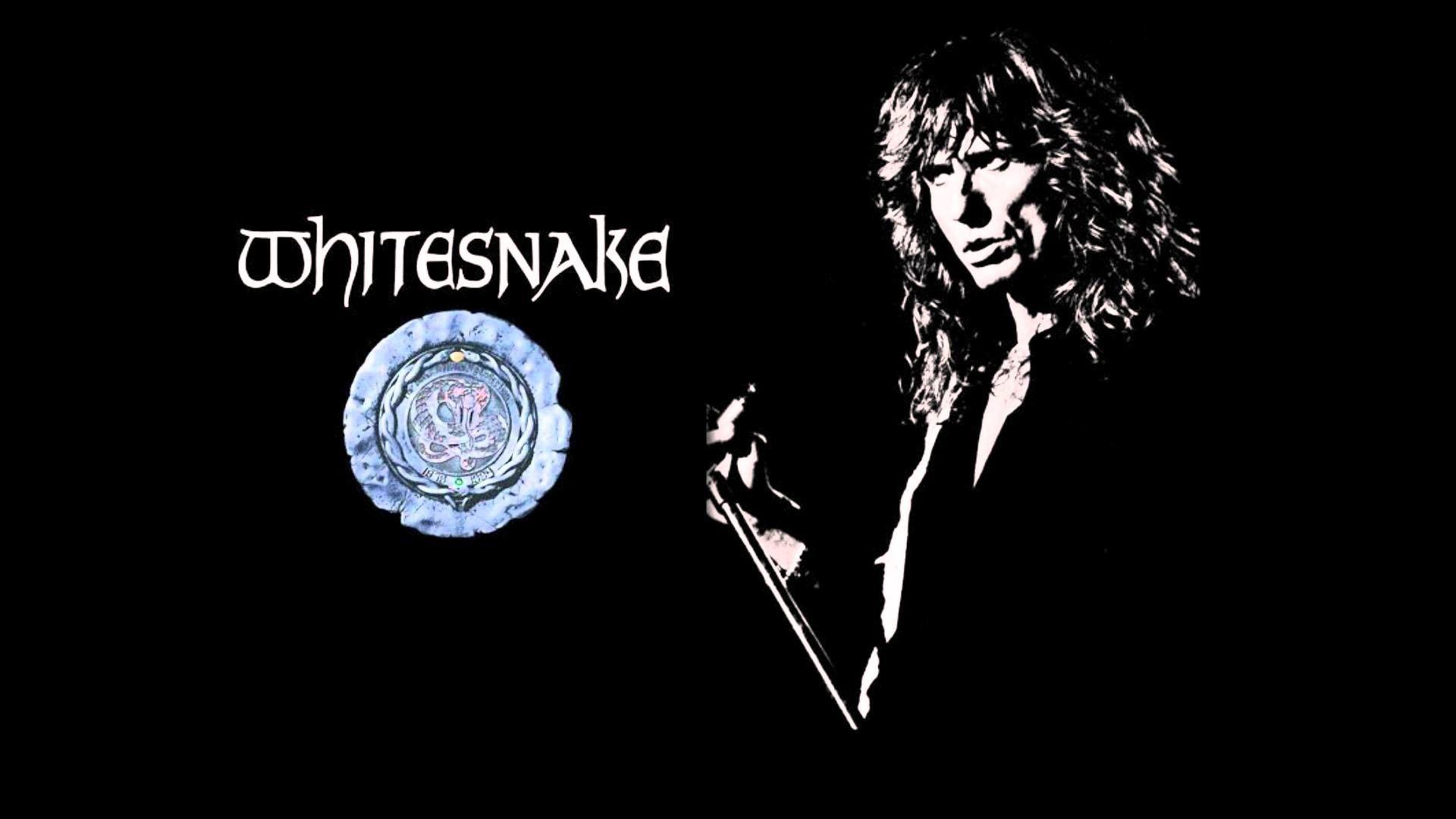 Free download Wallpaper Whitesnake Made By Darky 640x599 for your  Desktop Mobile  Tablet  Explore 72 Whitesnake Wallpaper  Whitesnake  Wallpapers