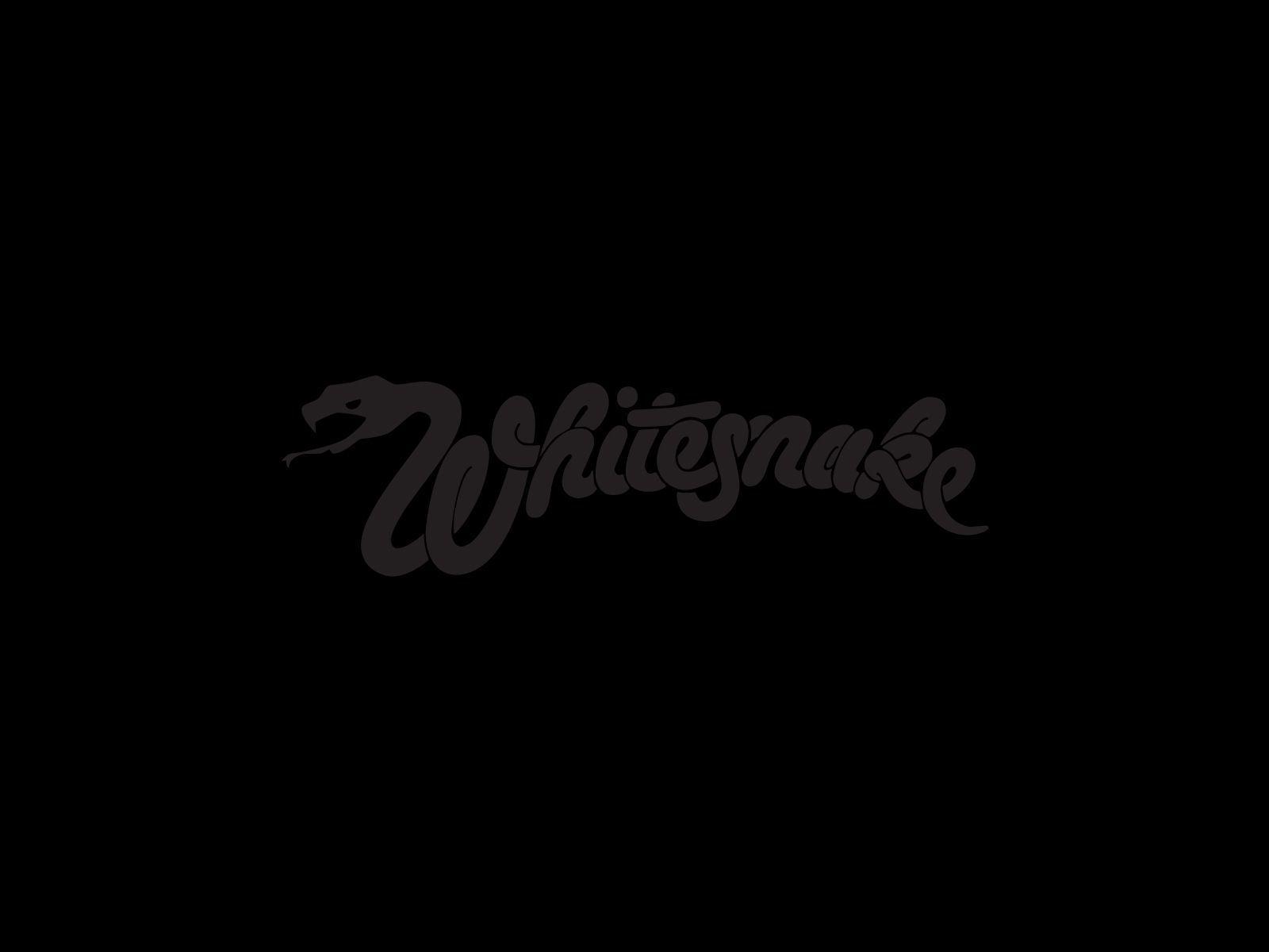 1600x1200 Whitesnake Wallpaper