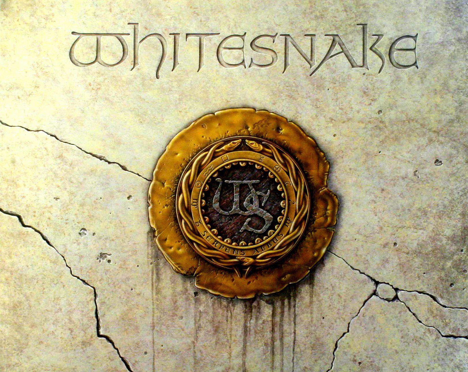 Whitesnake Wallpapers - Top Free Whitesnake Backgrounds - WallpaperAccess