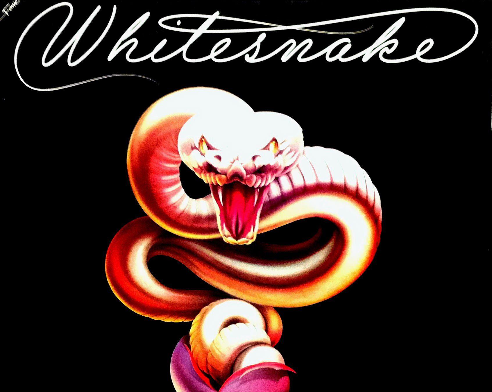 Whitesnake Wallpapers Top Free Whitesnake Backgrounds WallpaperAccess