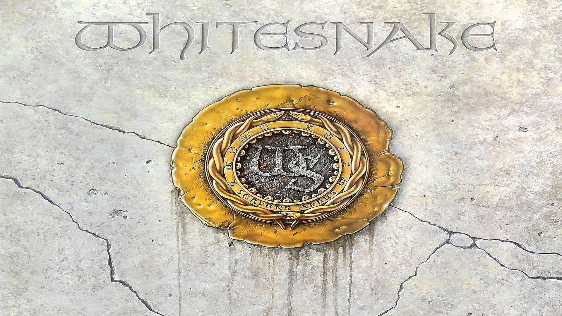 1920x1080 Whitesnake Wallpaper