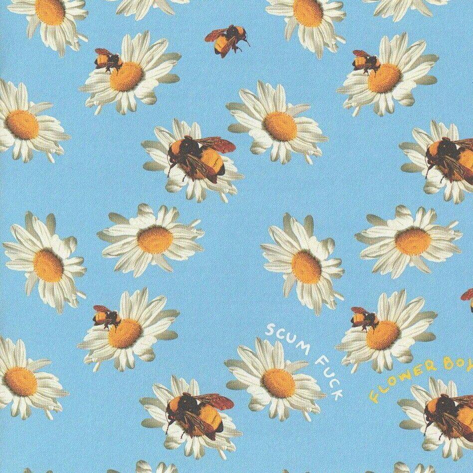 Flower Boy Alt Cover bonito bees flower boy nature sunset tyler the  creator HD phone wallpaper  Peakpx