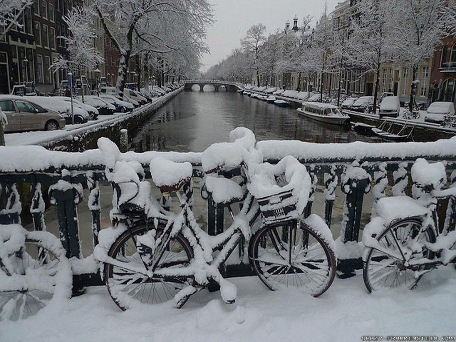 1600x1200 Winter Day wallpaper 2