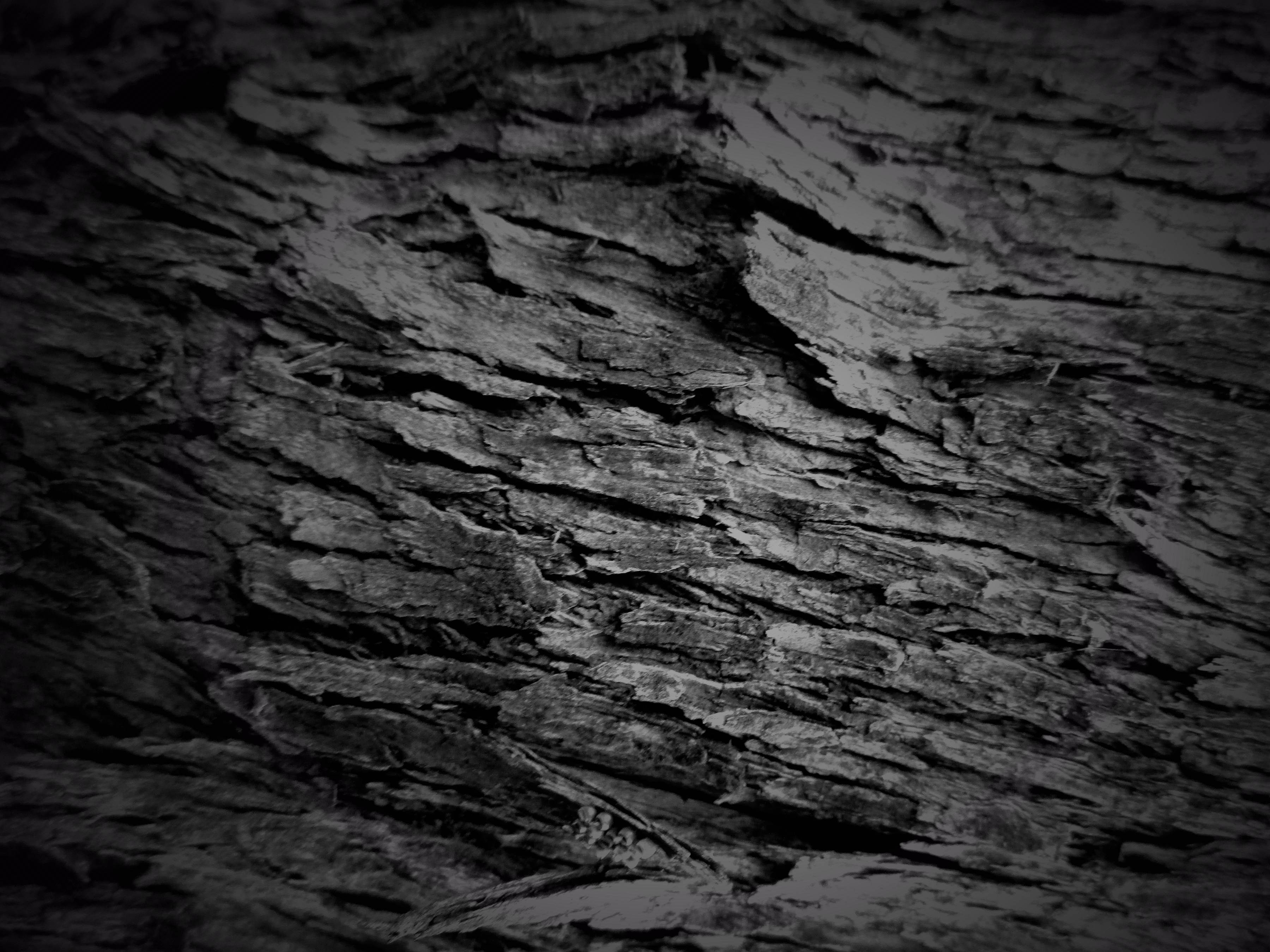3600x2700 Black Wallpaper HD (JPG)