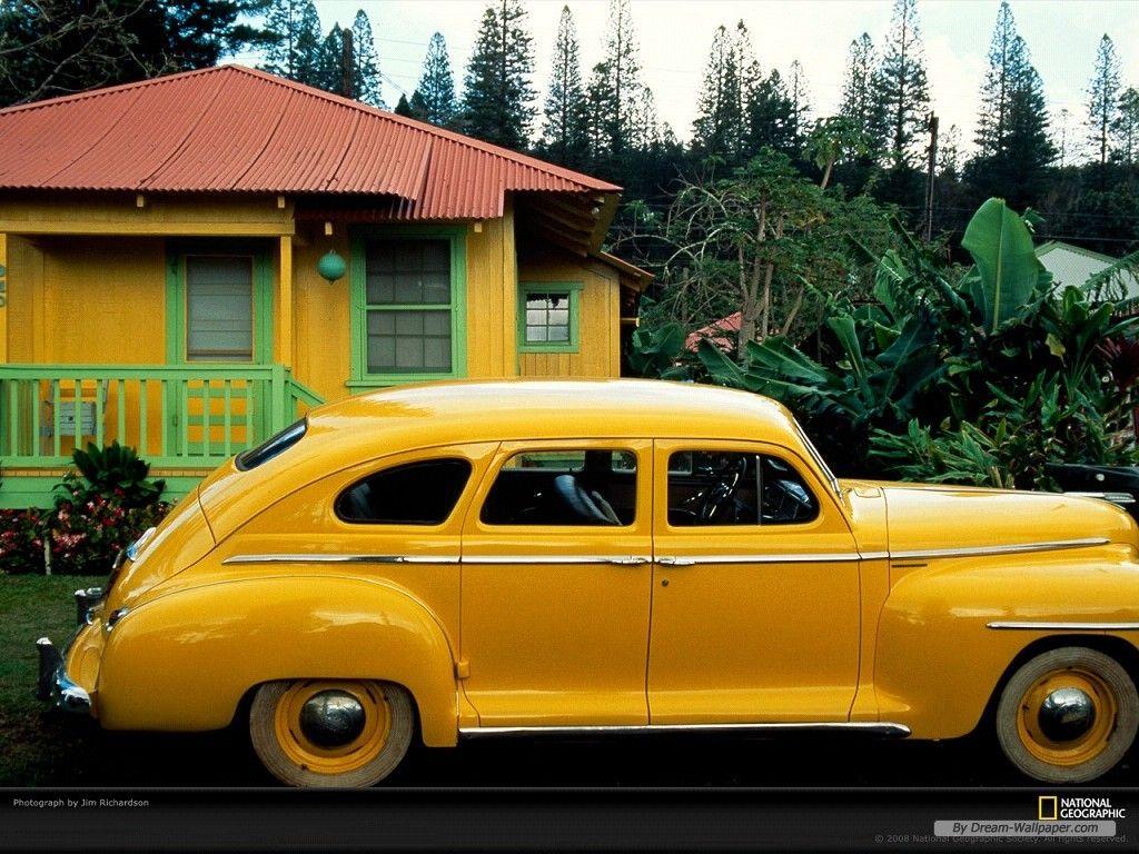 1024x768 Free Wallpaper Photography wallpaper Yellow
