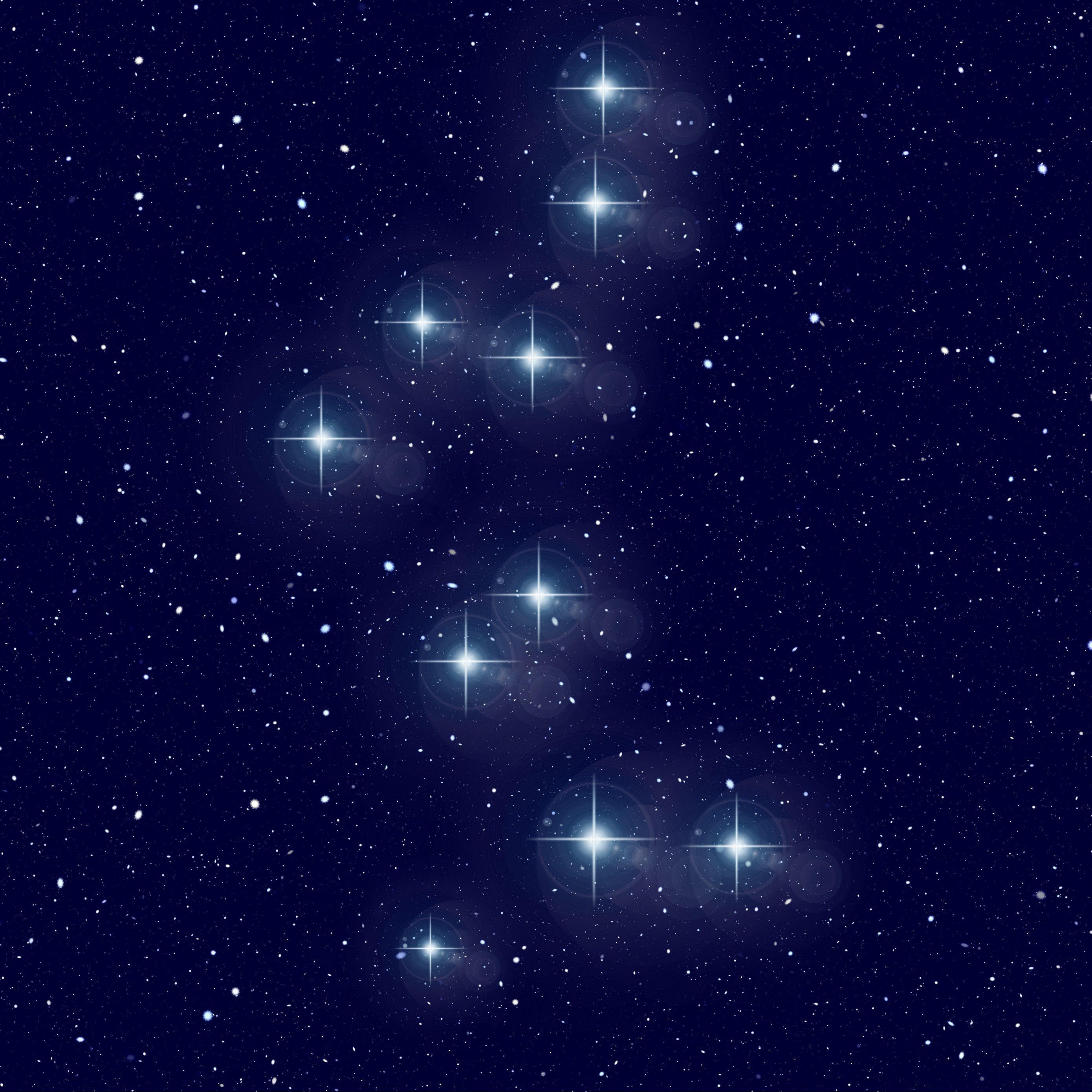 2780x2780 Download wallpaper 2780x2780 constellation, bear, starry sky