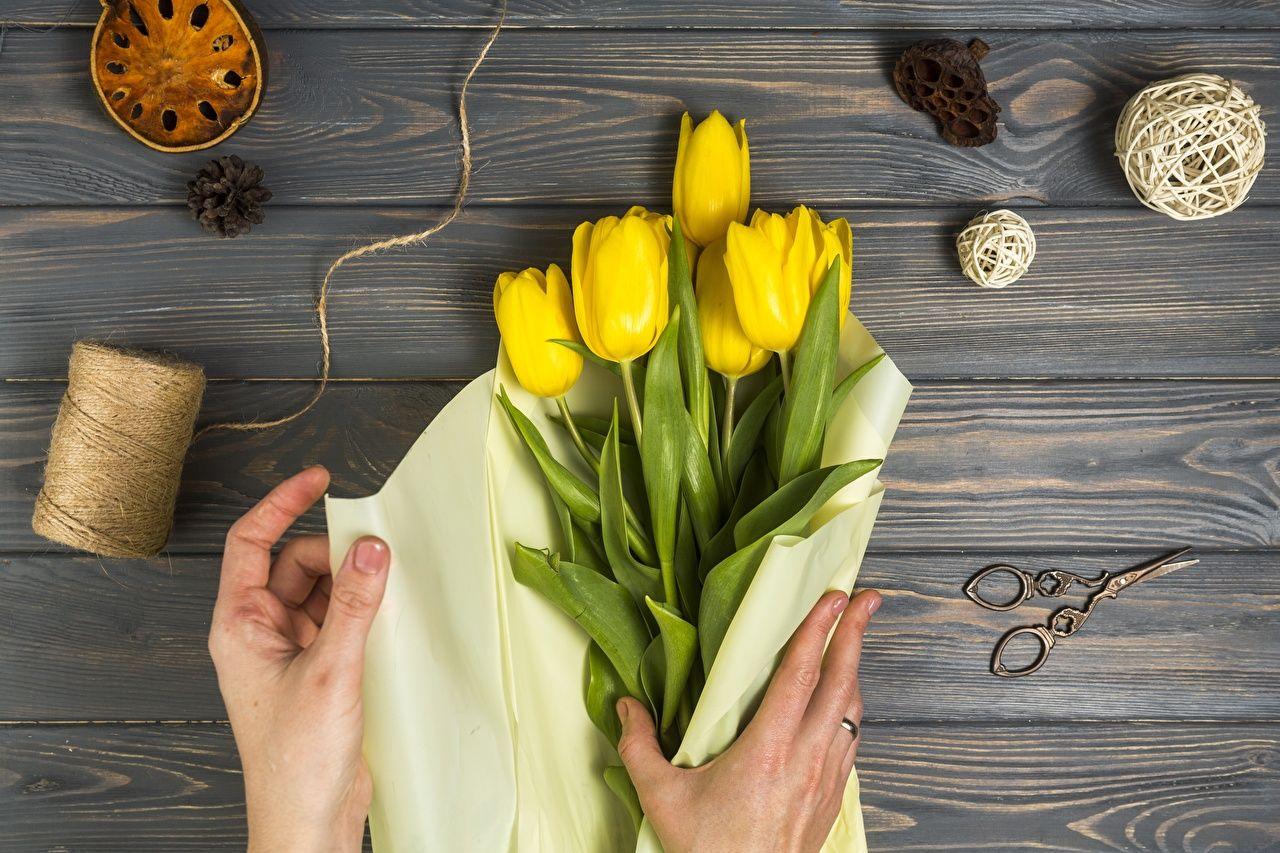 1280x853 Desktop Wallpaper tulip Yellow Flowers Hands Wood planks