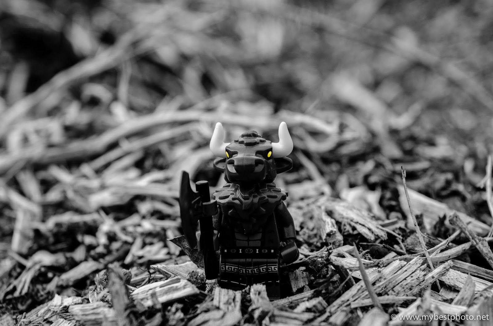 1600x1060 Free download Minifigures in the Wild Lego Minifigure Series 6