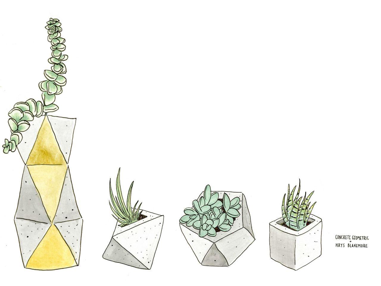 1280x960 Plant Background Tumblr. Indie Plant