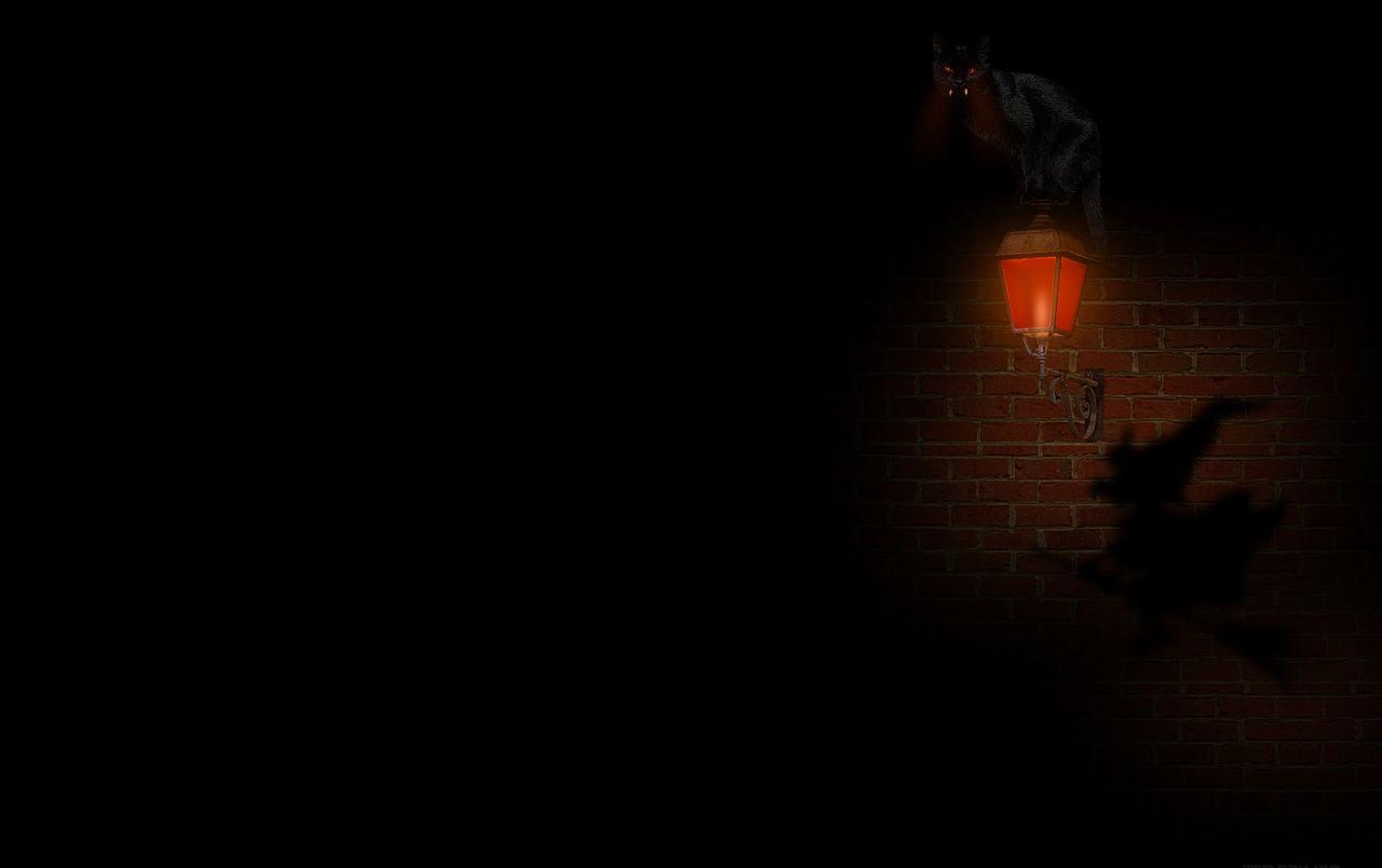 1280x804 Angry Cat wallpaper. Angry Cat