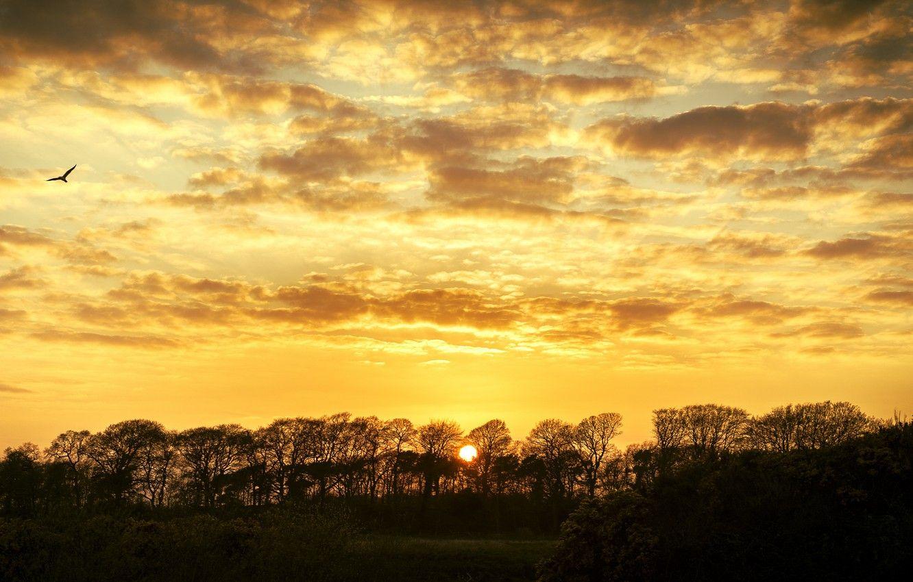 Yellow Cloud Wallpapers Top Free Yellow Cloud Backgrounds