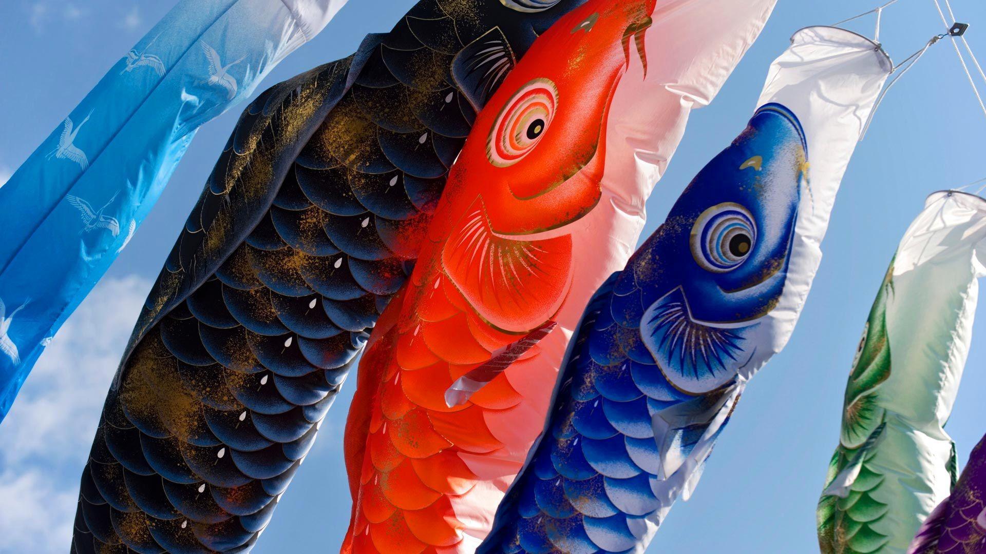 1920x1080 Wallpaper Carp, lanterns, Japanese culture 1920x1080 Full HD 2K Picture, Image