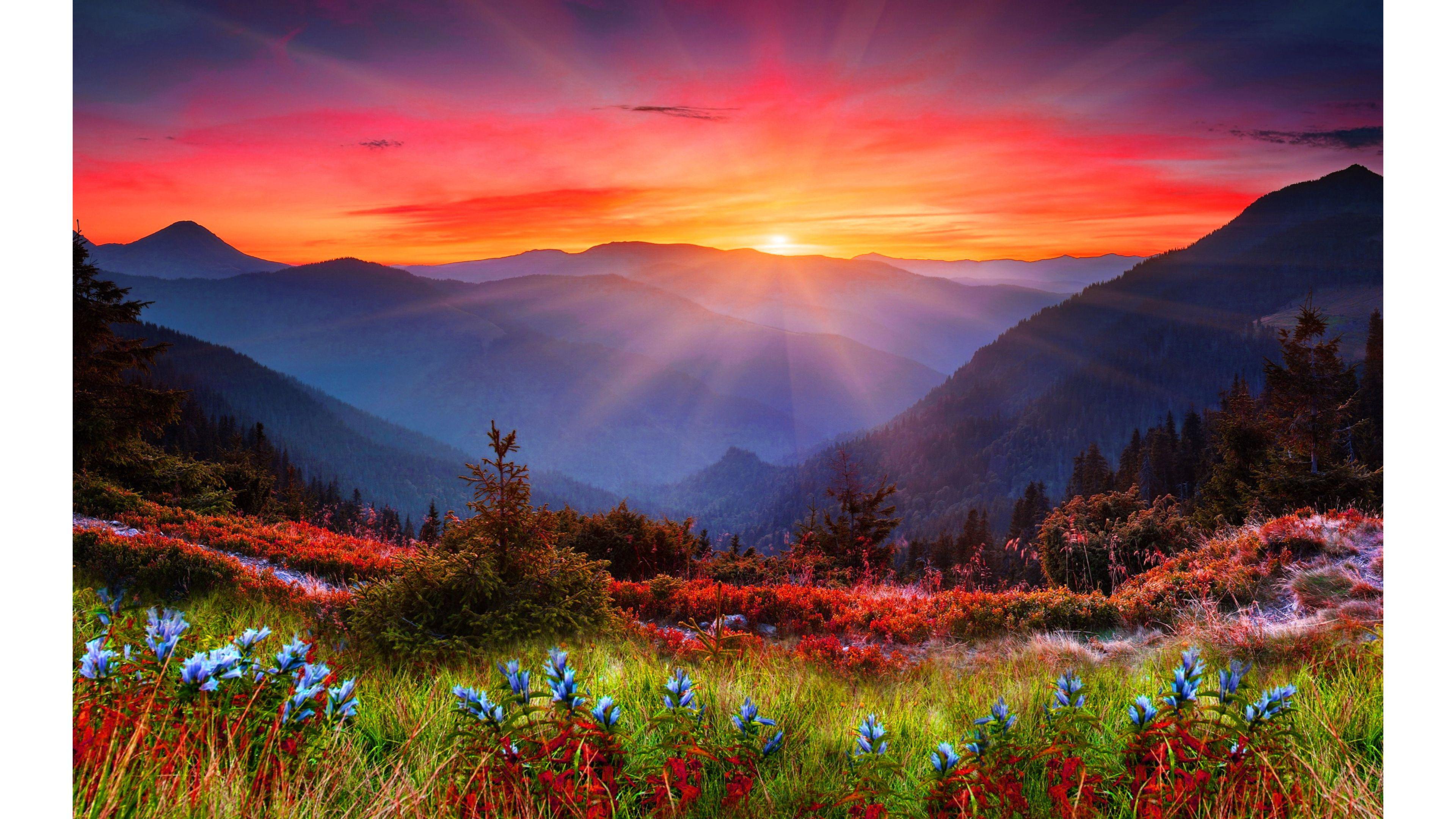 Spring in Mountains pink nature spring mountains sun sunset HD  wallpaper  Pxfuel