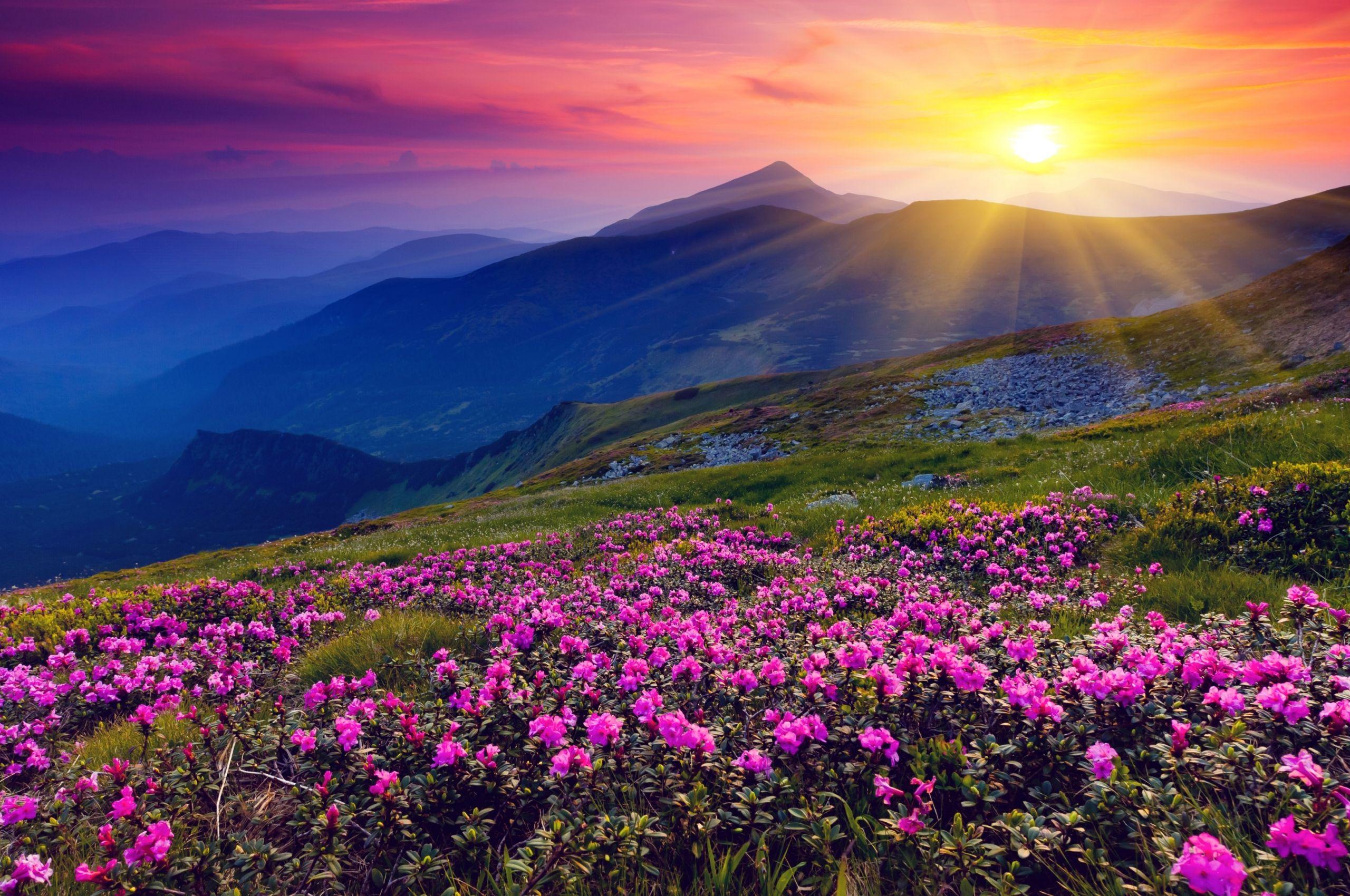 Spring Sunset Wallpapers - Top Free Spring Sunset Backgrounds ...